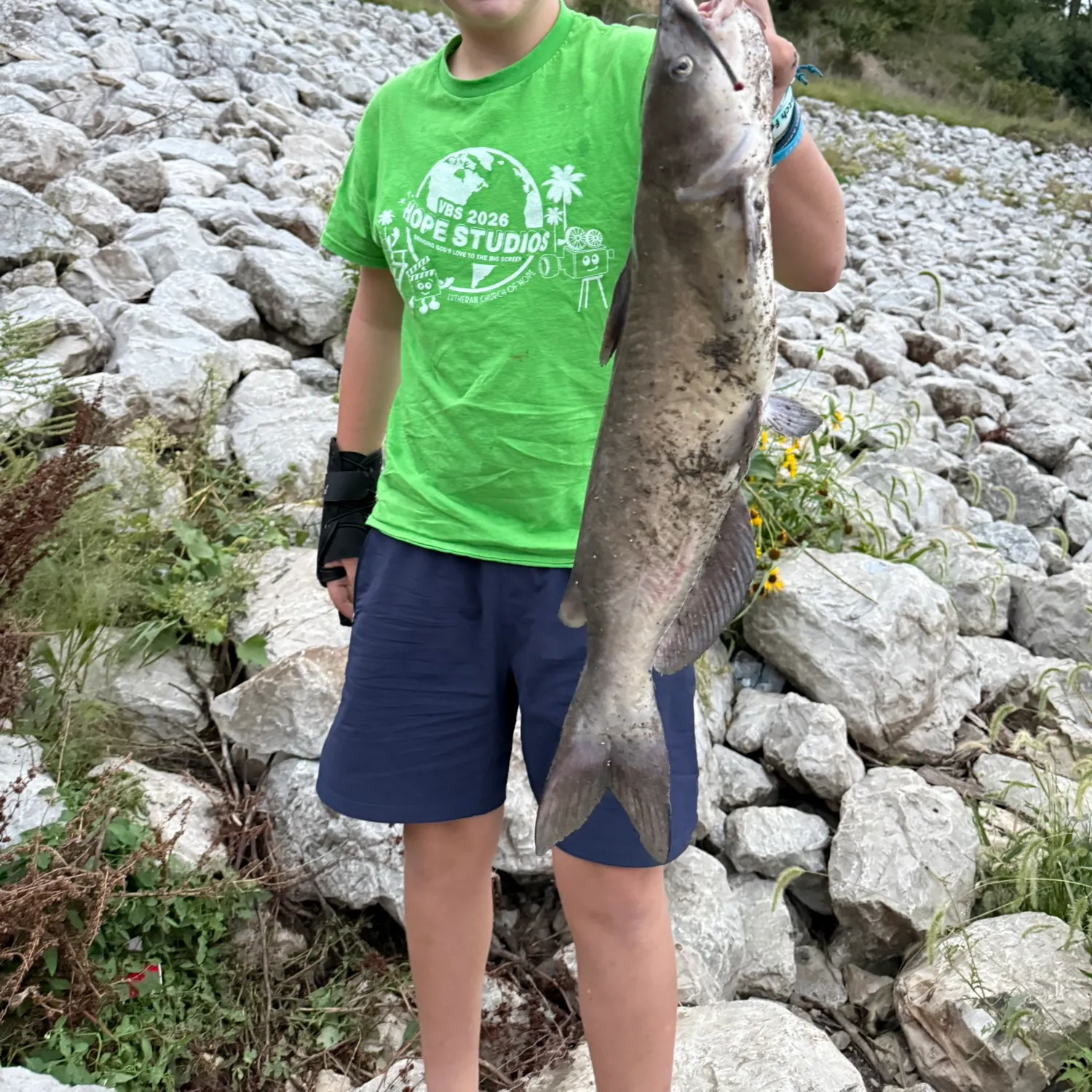Channel catfish caught on Fishbrain