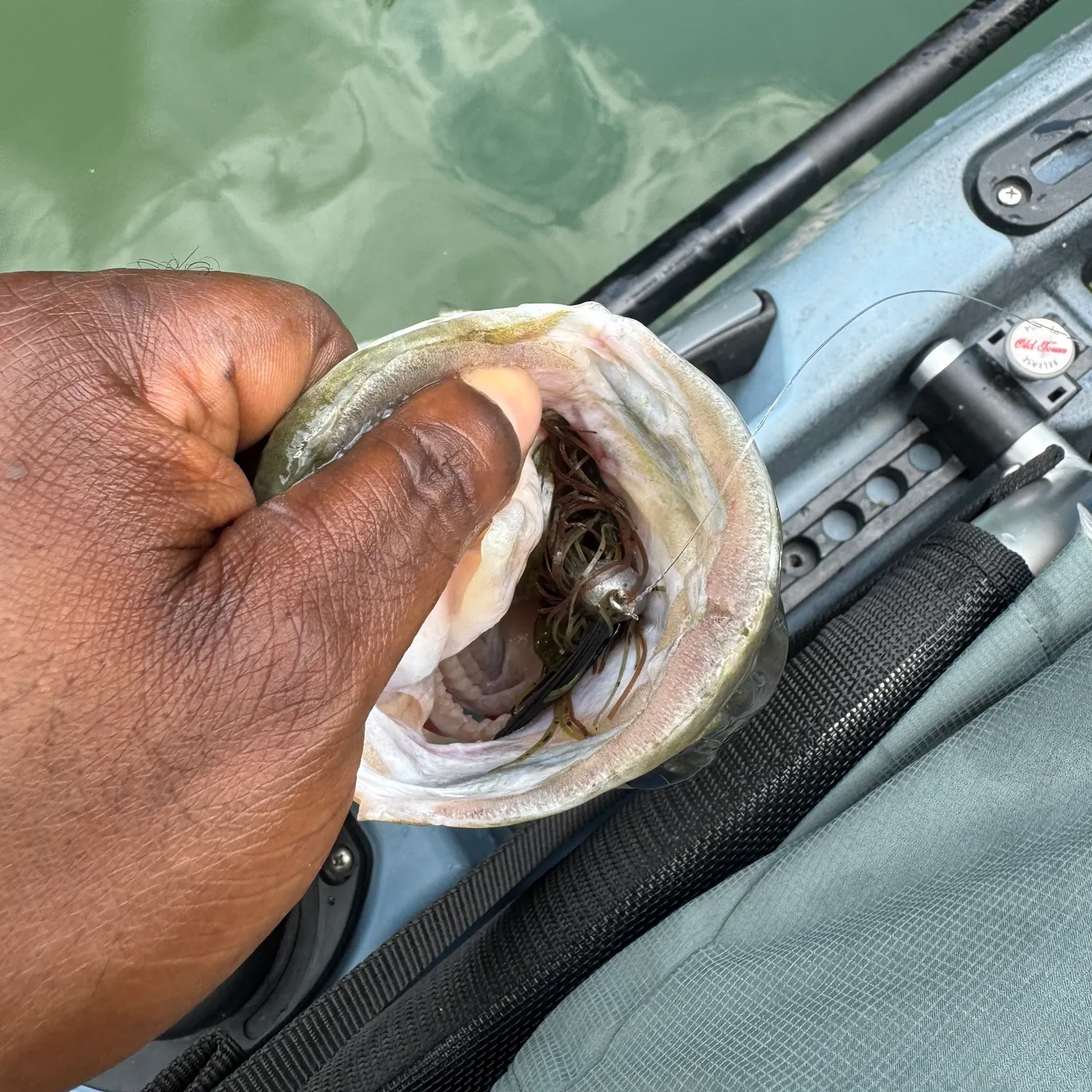 The most recent Spotted bass catches on Fishbrain