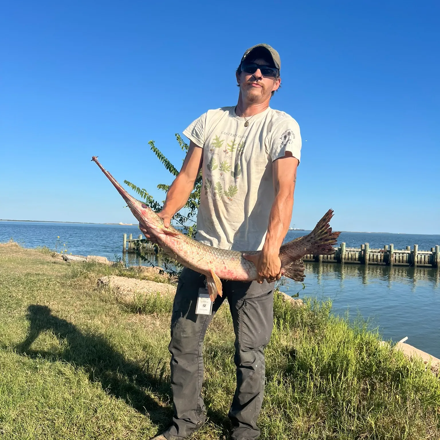 The most recent Longnose gar catches on Fishbrain