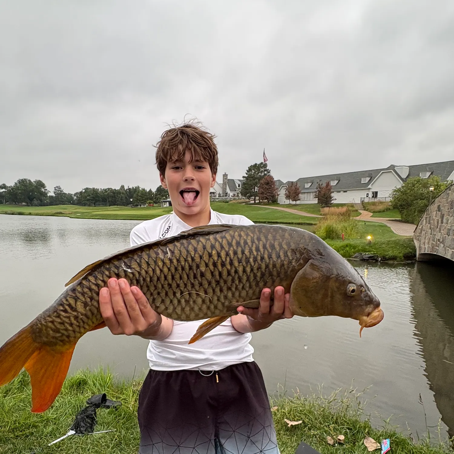 Common carp caught on Fishbrain