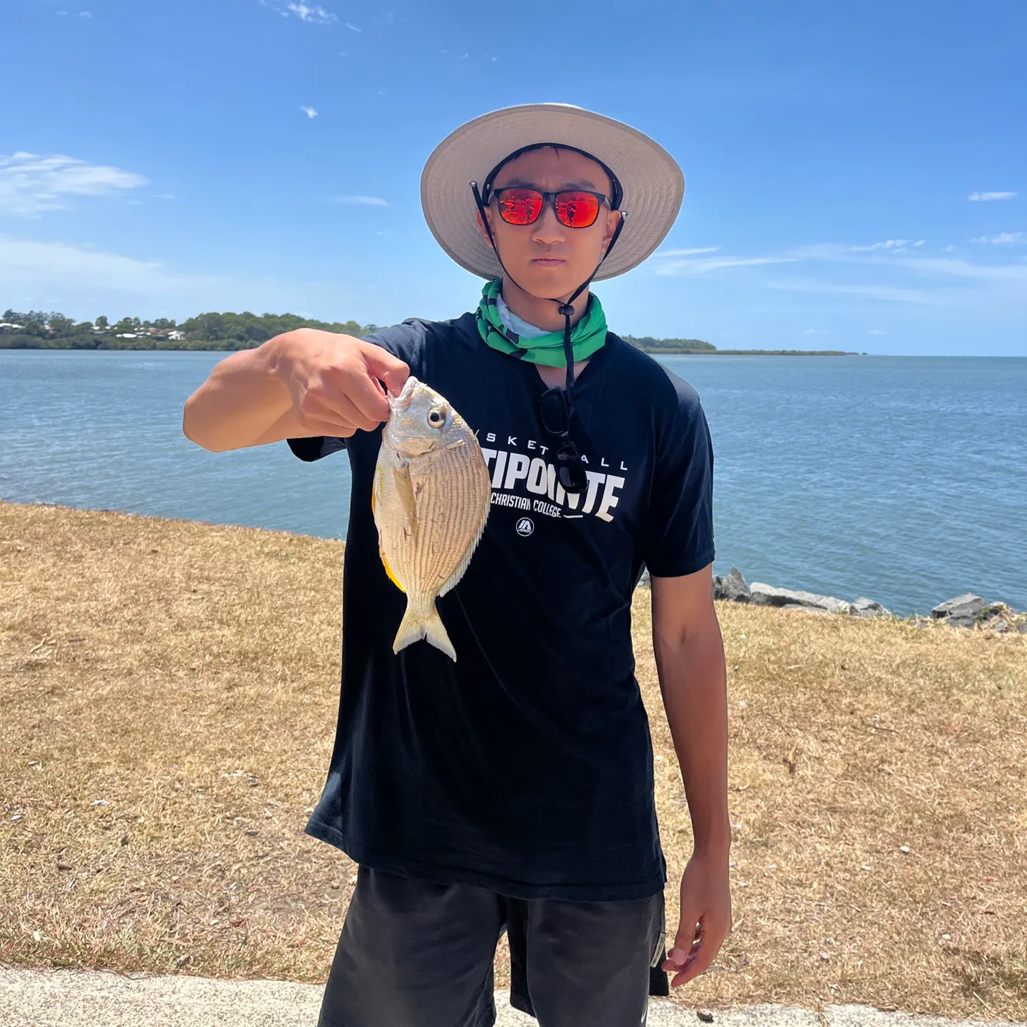 The most recent Goldlined seabream catches on Fishbrain