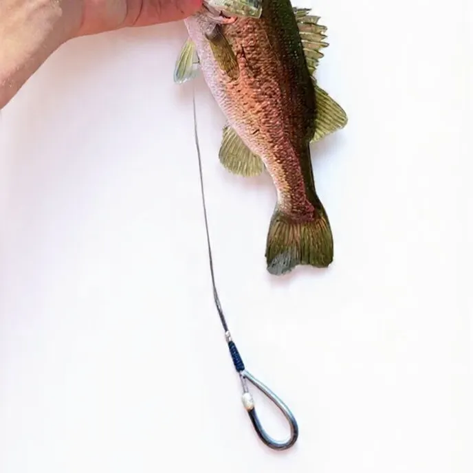 Florida bass caught on Fishbrain