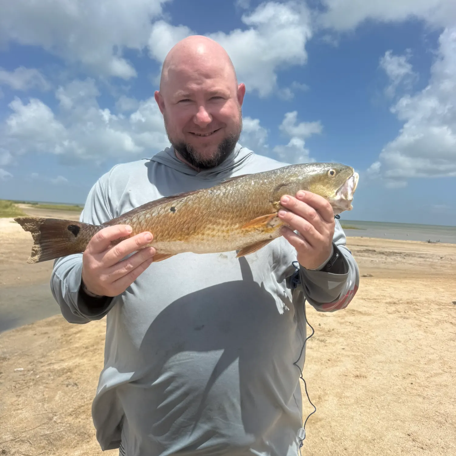 Red drum caught on Fishbrain