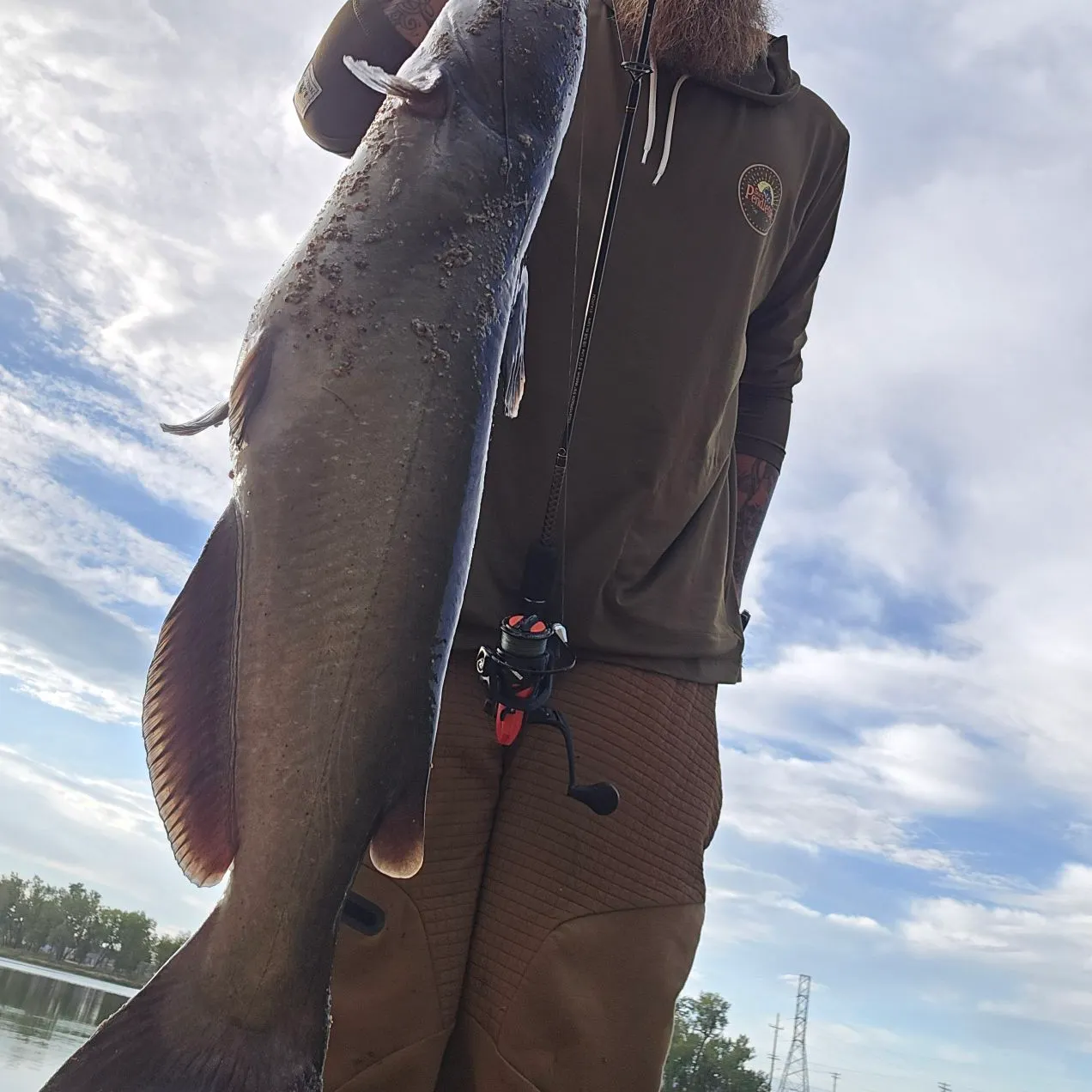 Channel catfish caught on Fishbrain