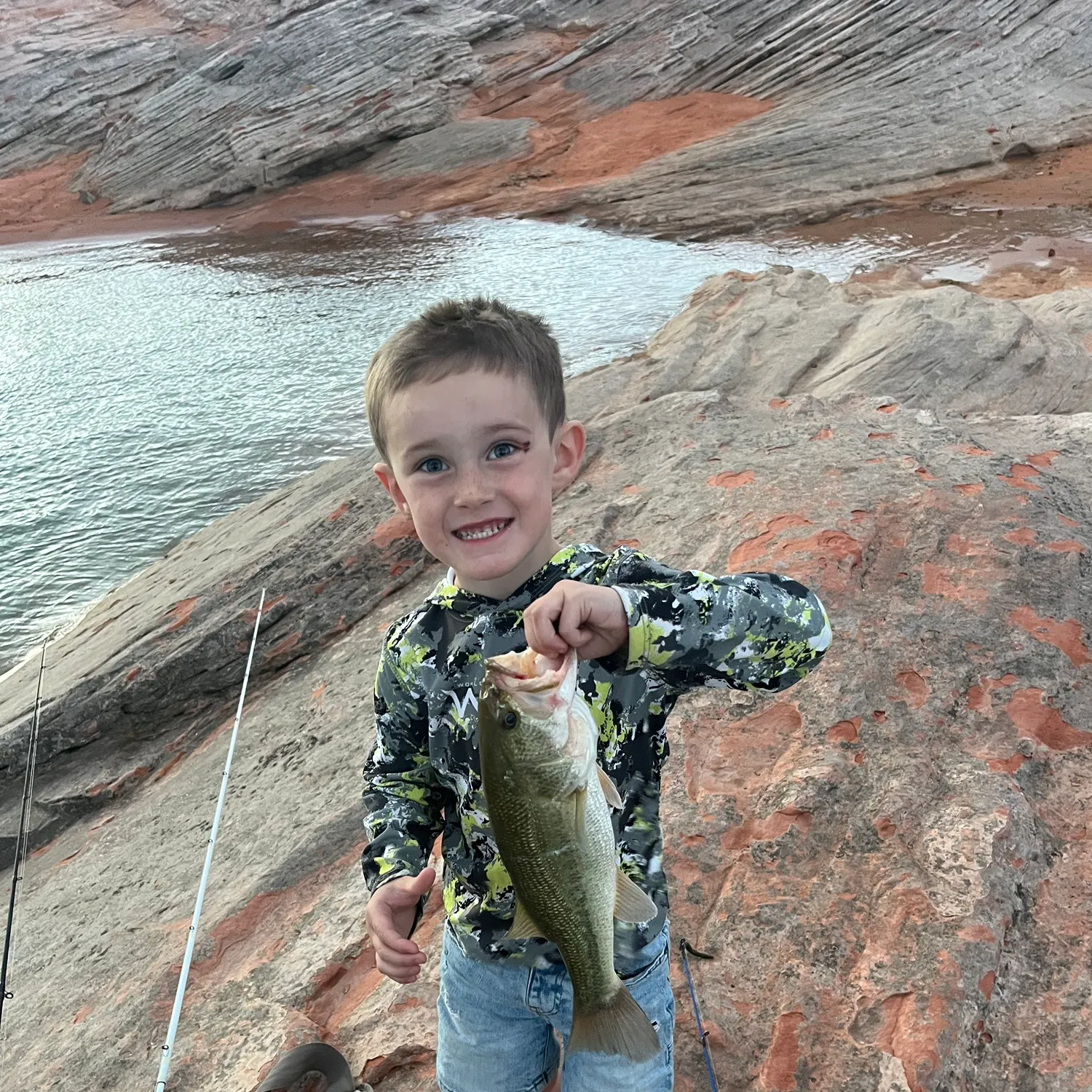Largemouth bass caught on Fishbrain