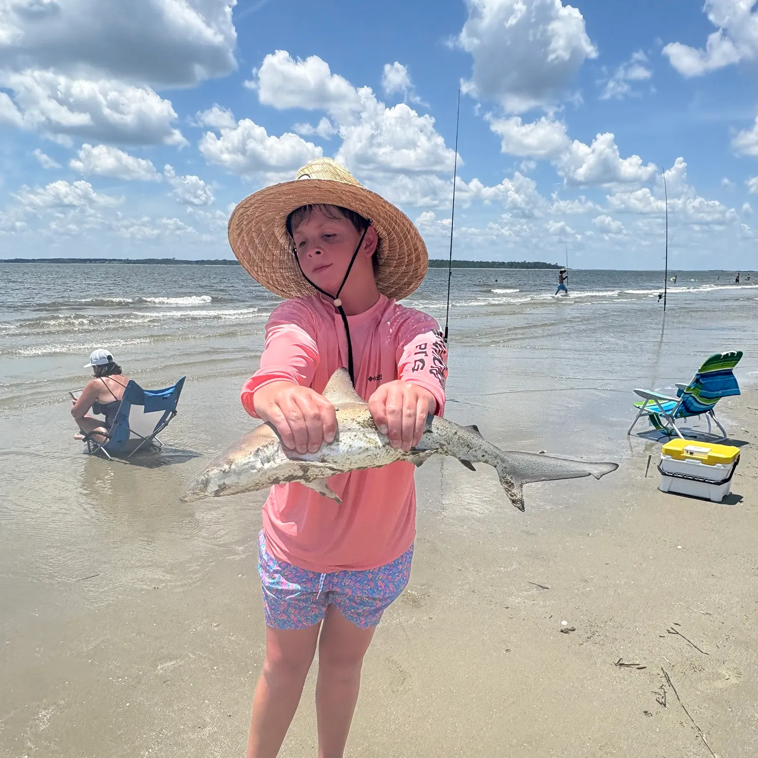 The most recent Blacktip reef shark catches on Fishbrain
