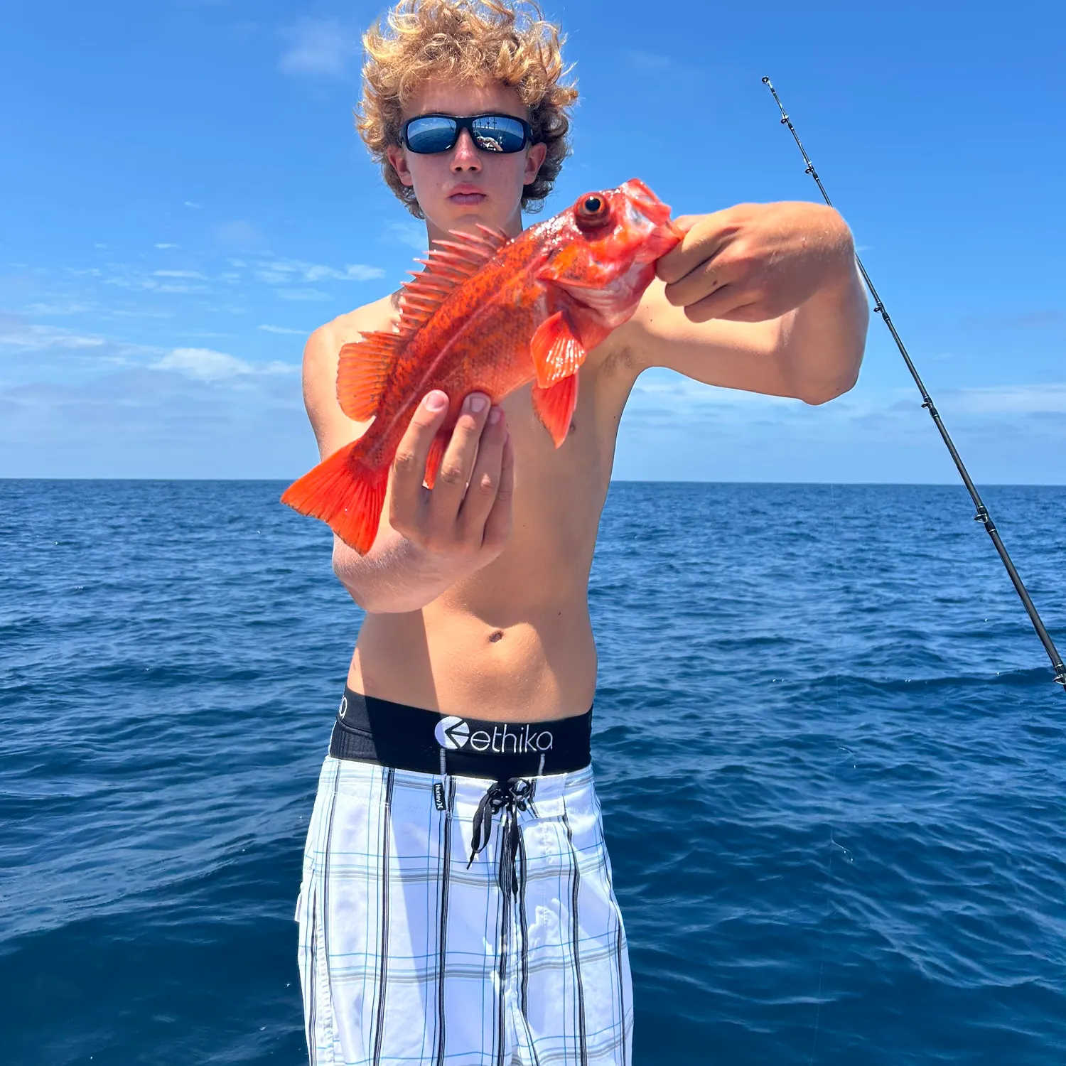 The most recent Cowcod rockfish catches on Fishbrain