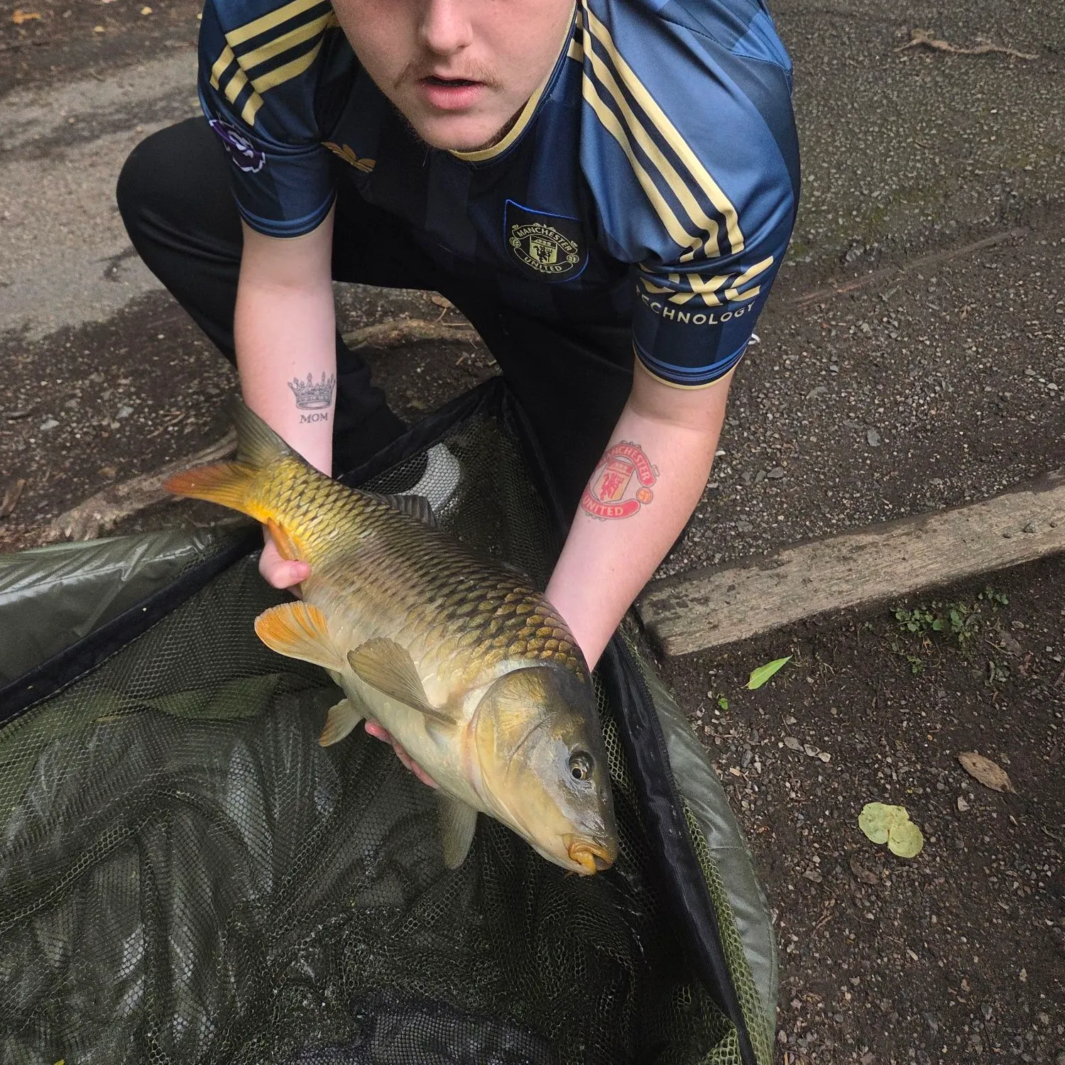 Common carp caught on Fishbrain