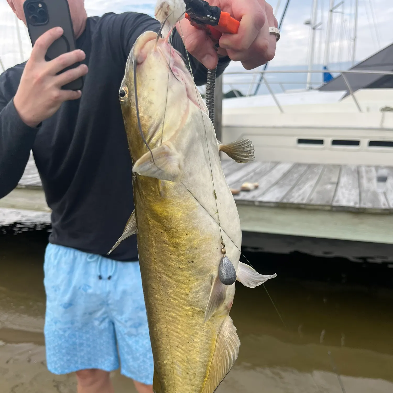 catch