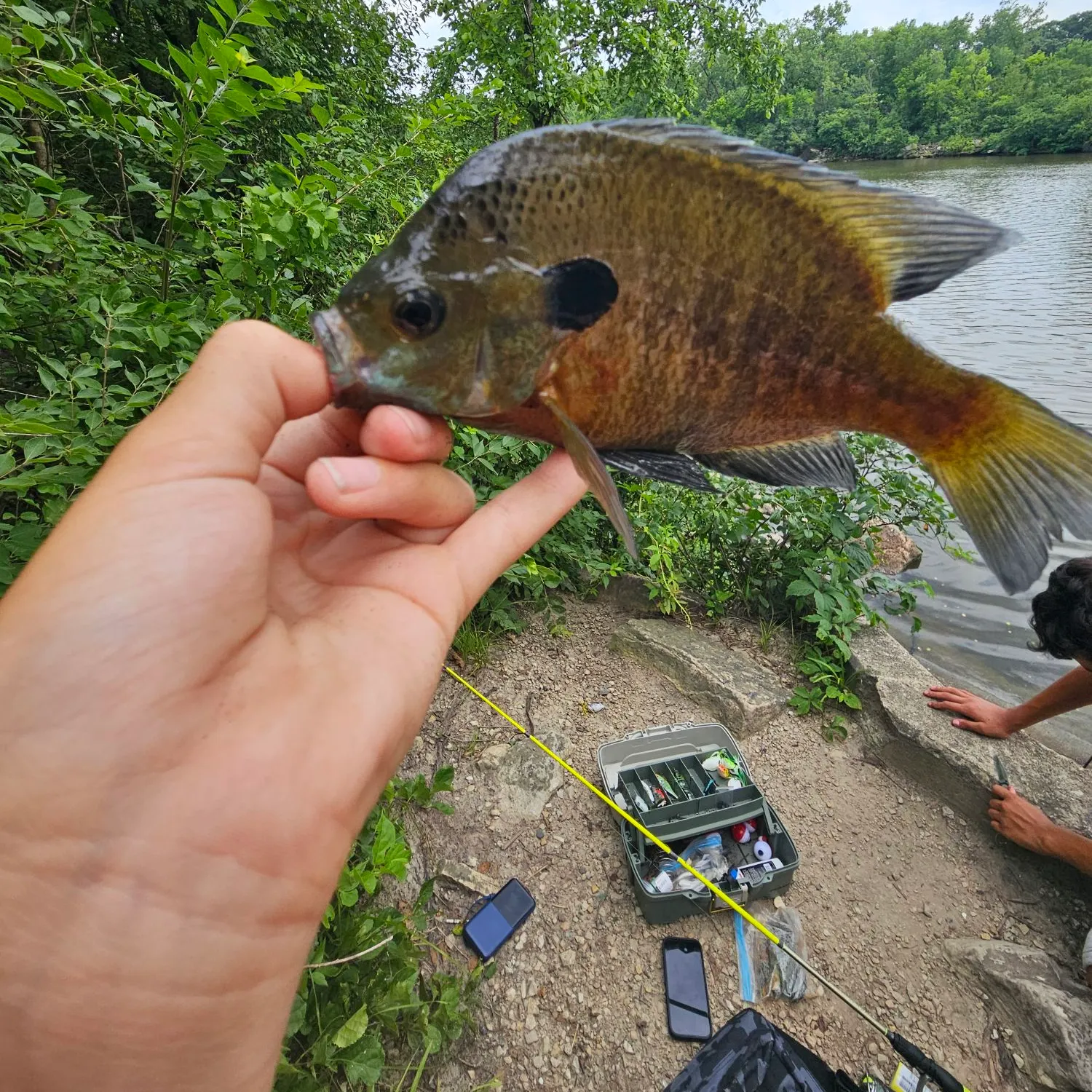 catch