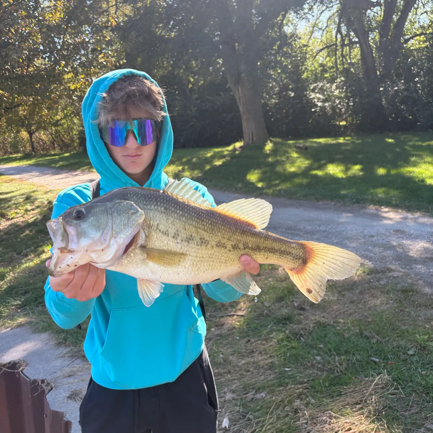 Largemouth bass caught on Fishbrain