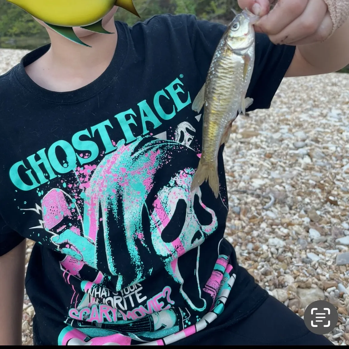 Common shiner caught on Fishbrain