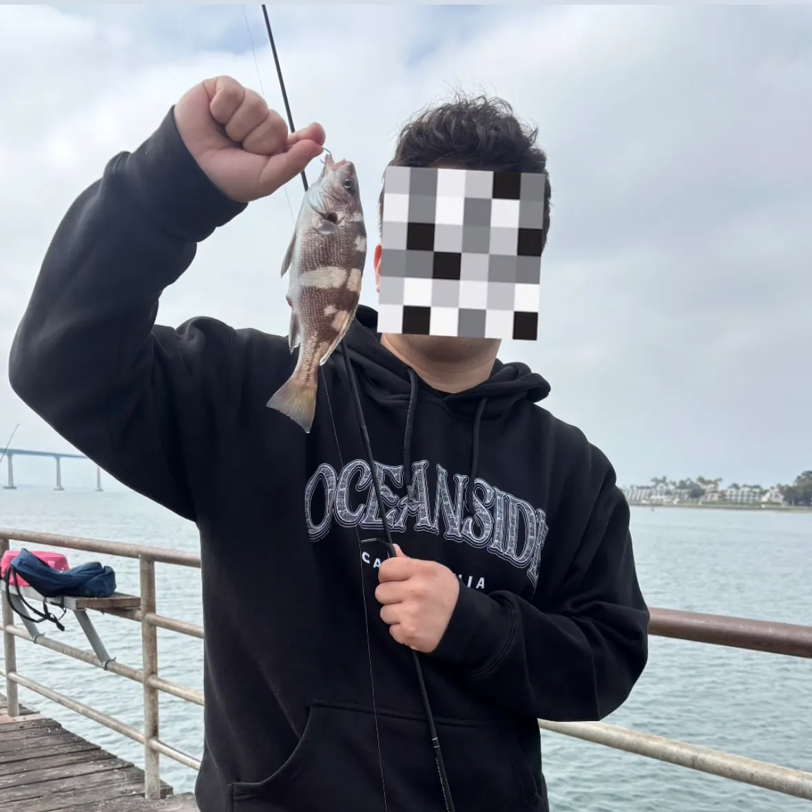 The most recent Black croaker catches on Fishbrain