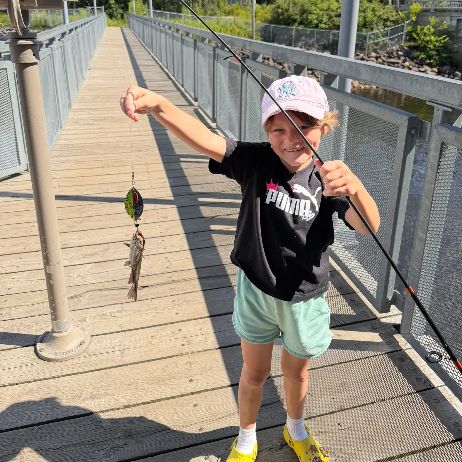 Channel catfish caught on Fishbrain