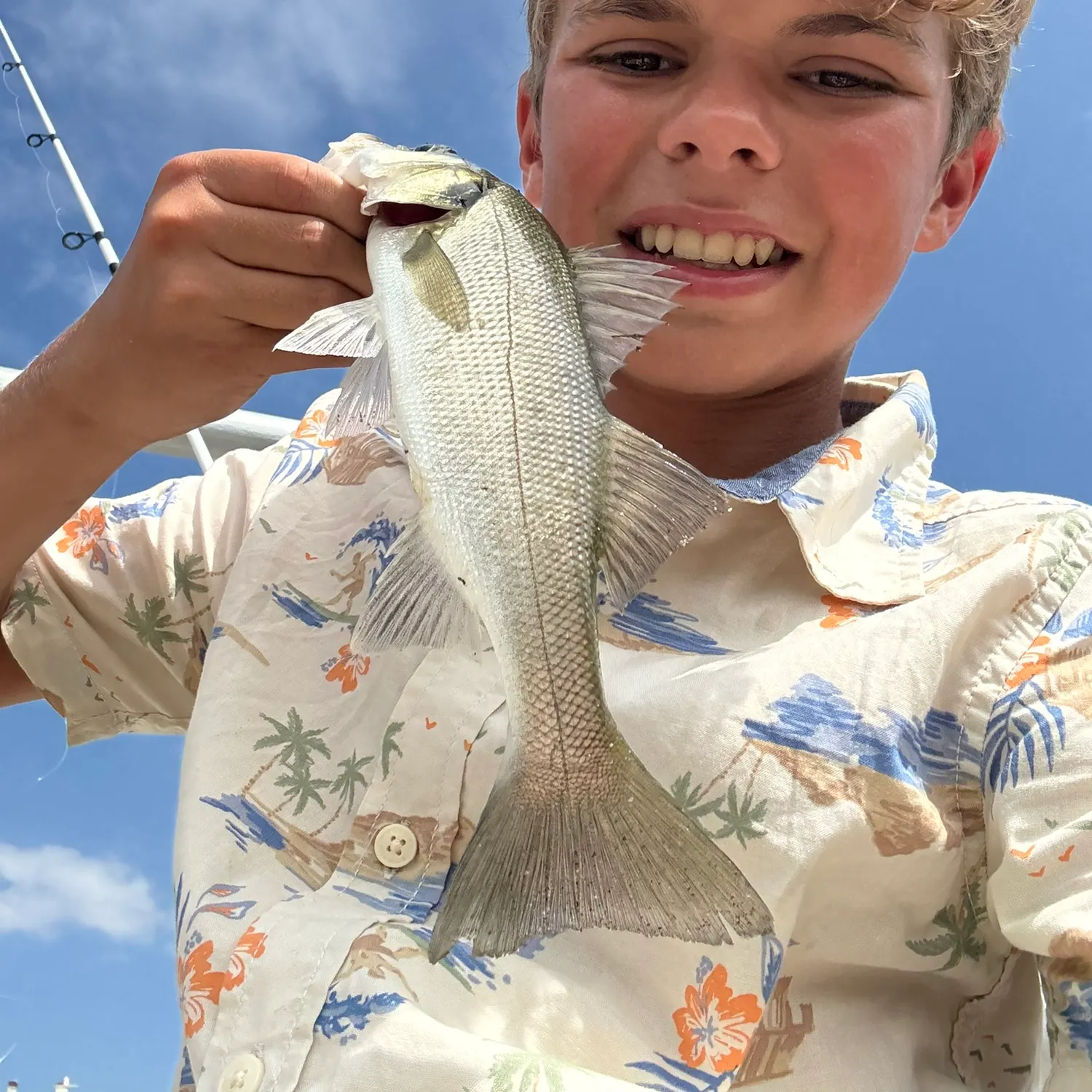 European seabass caught on Fishbrain