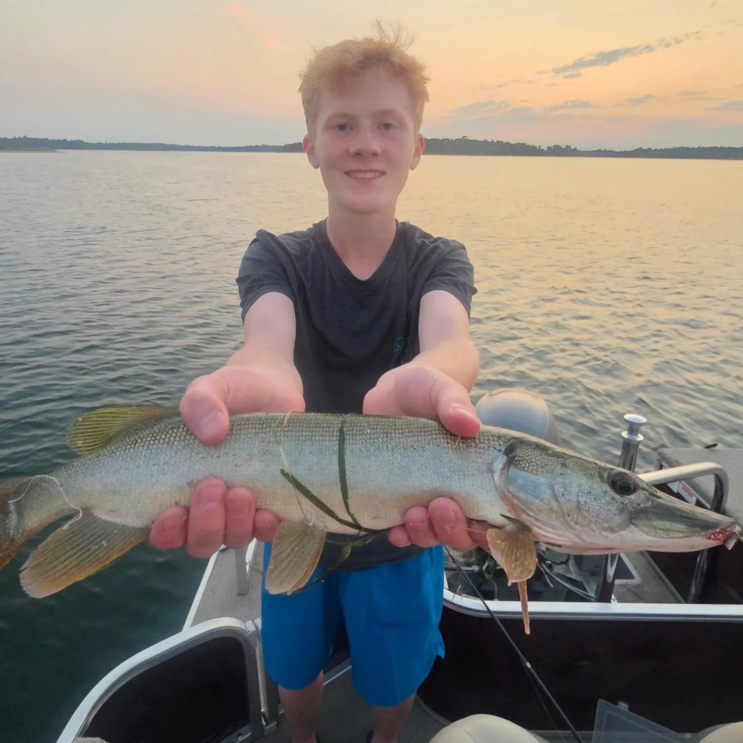 The most recent Silver pike catches on Fishbrain