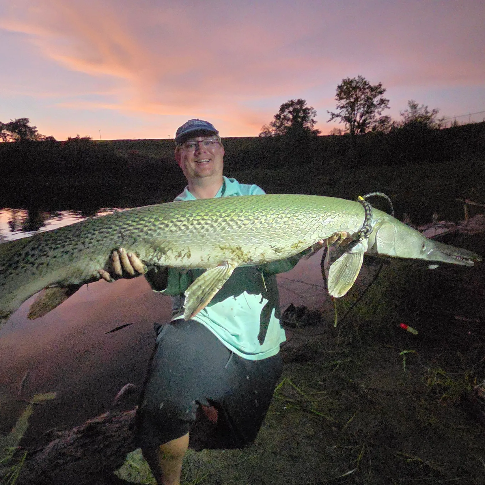 Alligator gar caught on Fishbrain