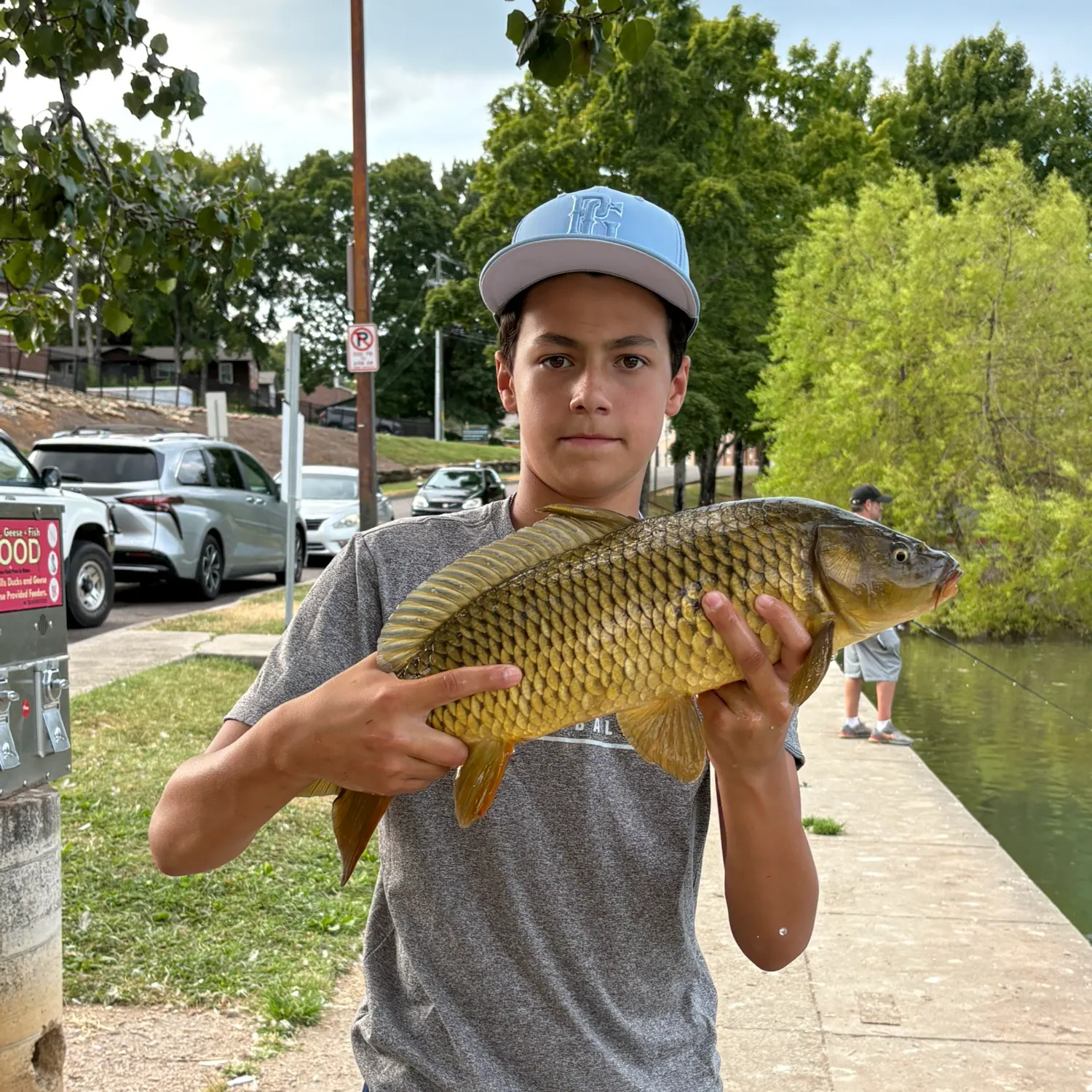 Common carp caught on Fishbrain