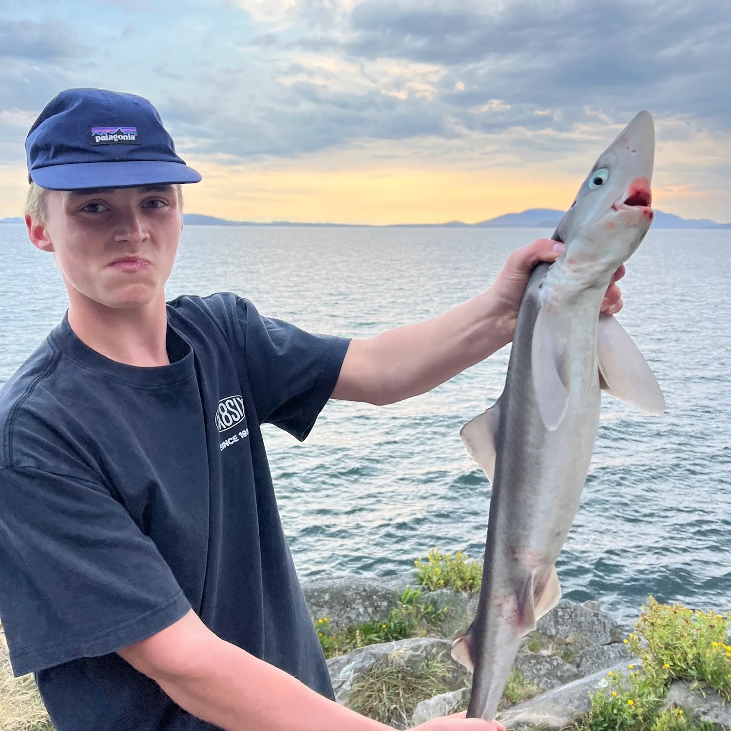 The most recent Pacific spiny dogfish catches on Fishbrain
