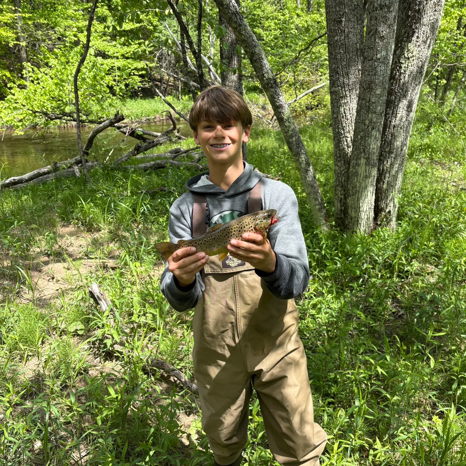 The most recent Lake trout catches on Fishbrain