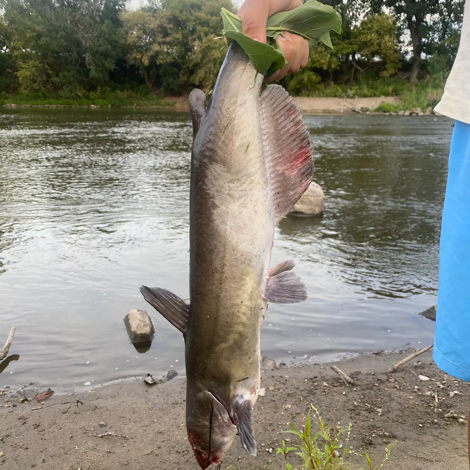 catch