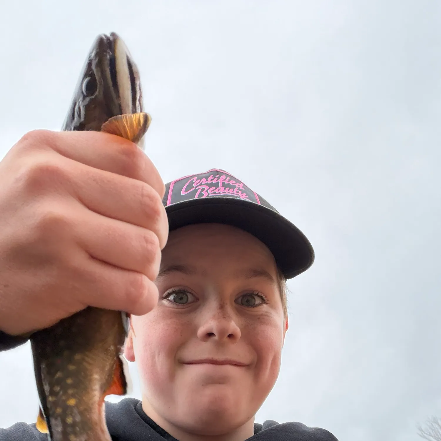 Brook trout caught on Fishbrain