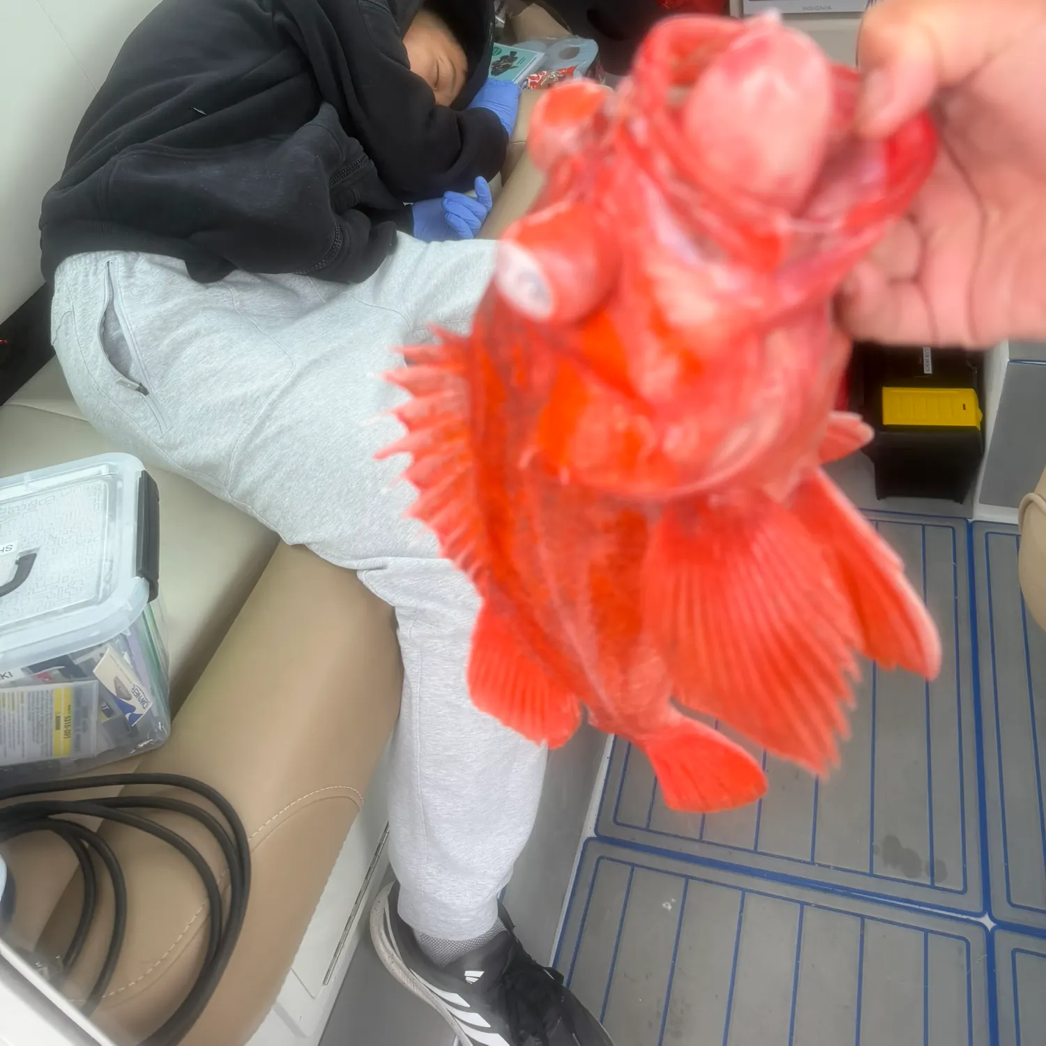 catch