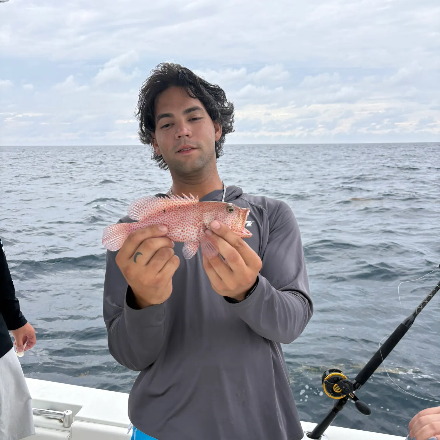 The most recent Speckled hind catches on Fishbrain