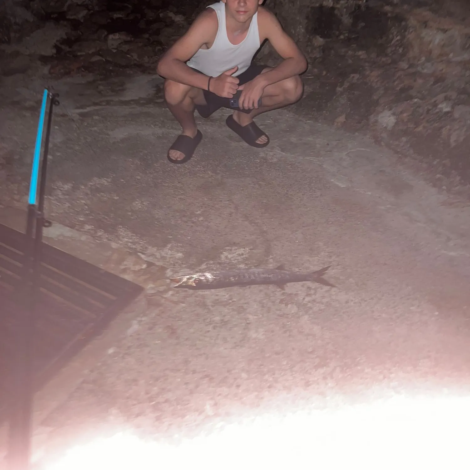 The most recent Mexican barracuda catches on Fishbrain