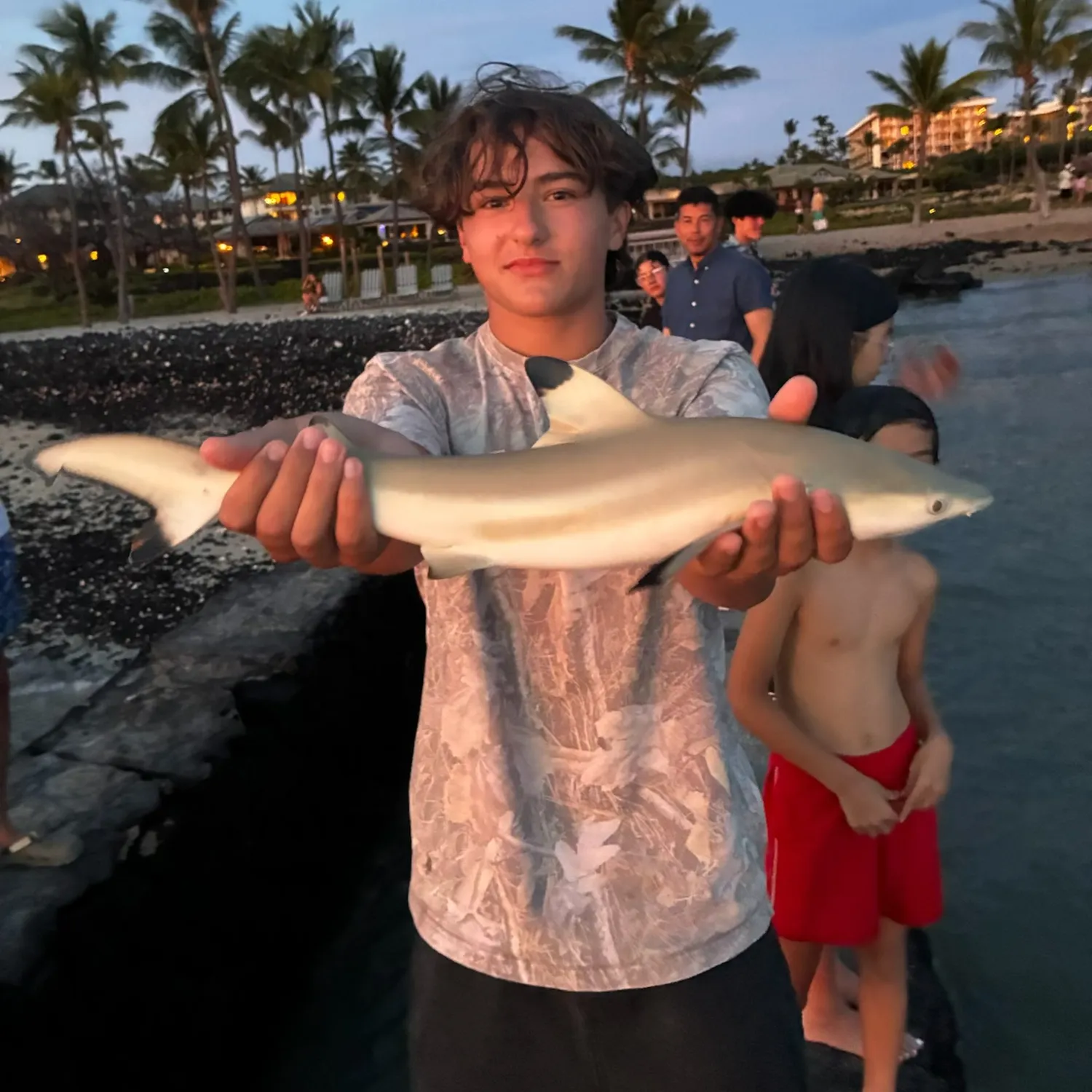 The most recent Blacktip reef shark catches on Fishbrain