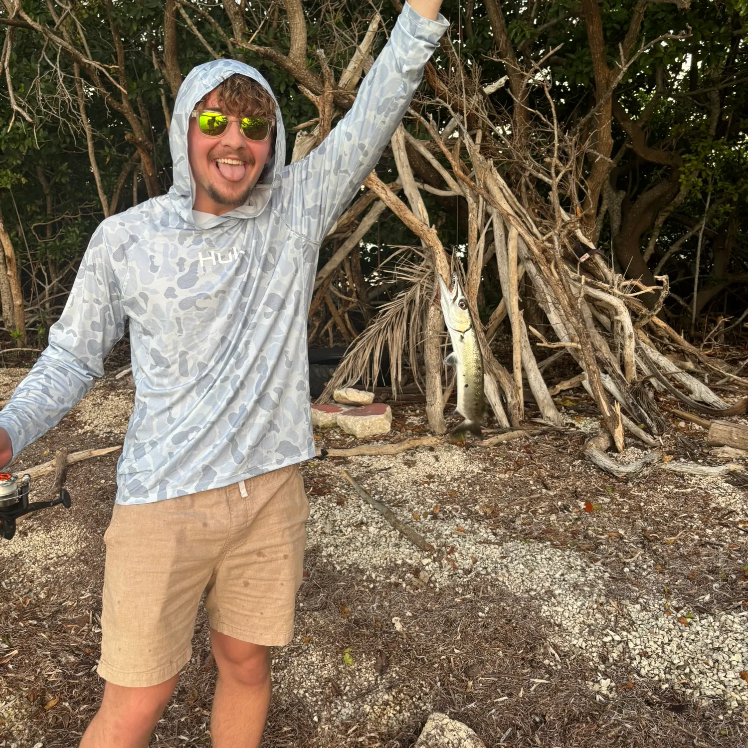The most recent Great barracuda catches on Fishbrain