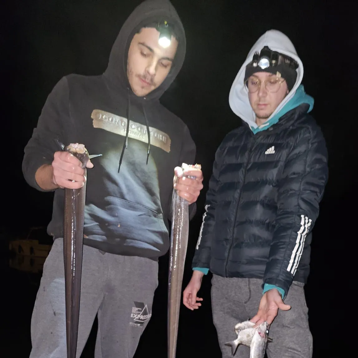 The most recent Silver scabbardfish catches on Fishbrain