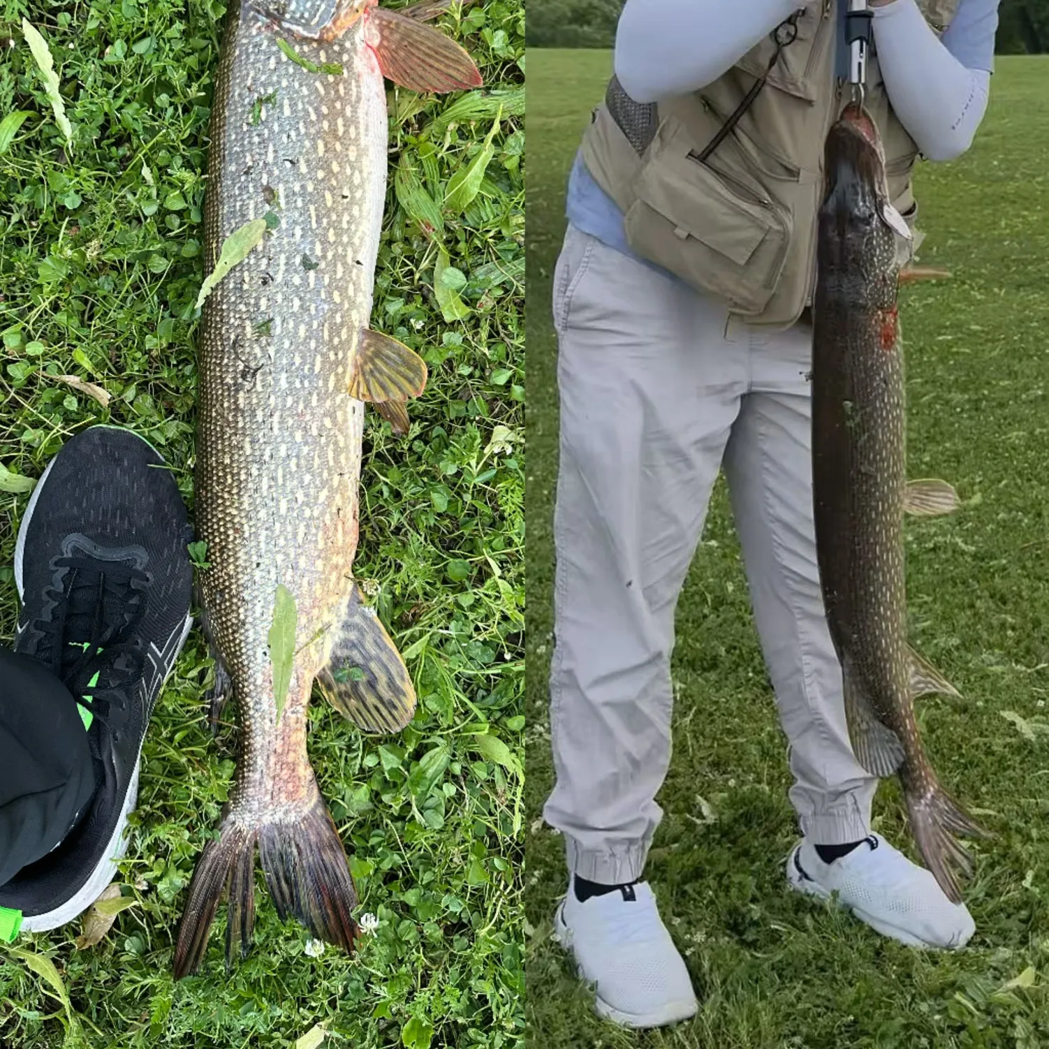 recently logged catches