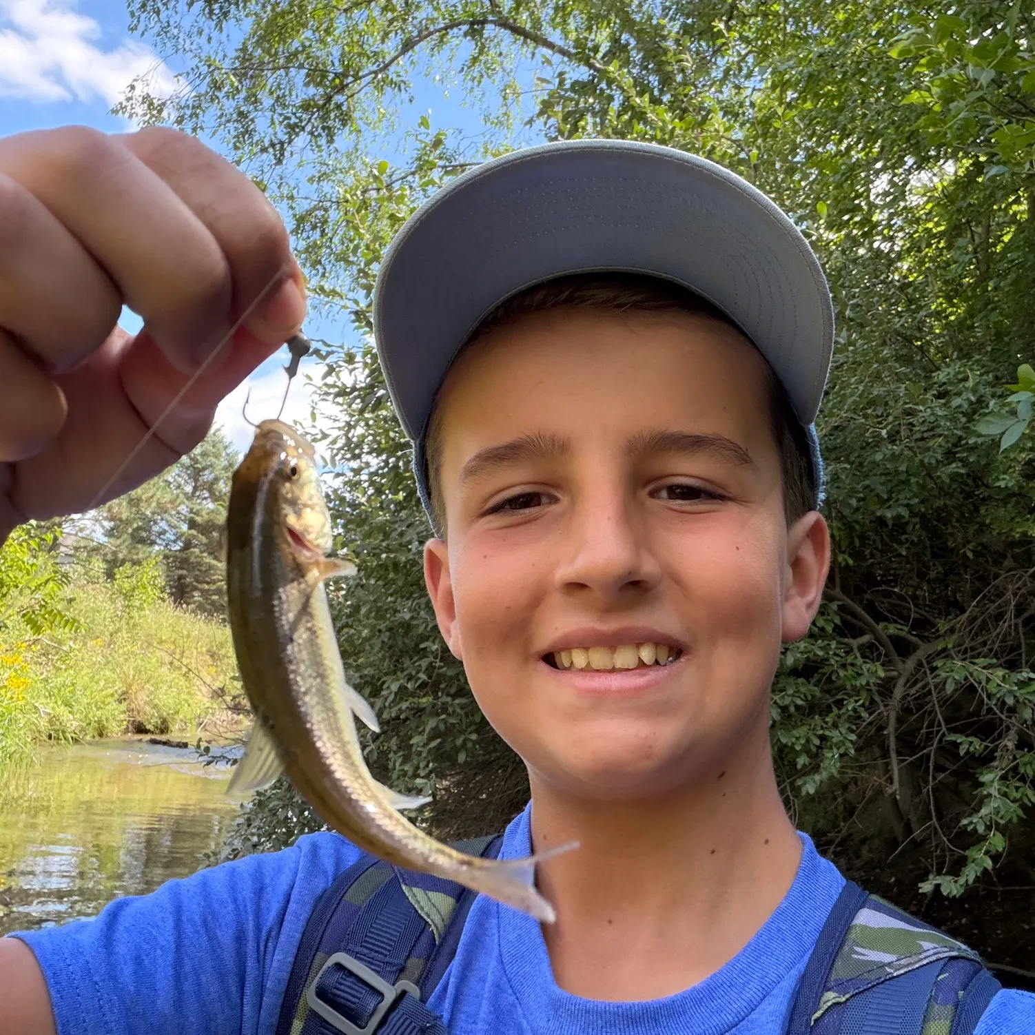 Creek chub caught on Fishbrain