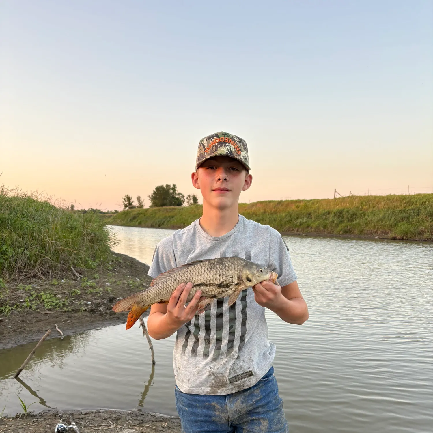 Common carp caught on Fishbrain