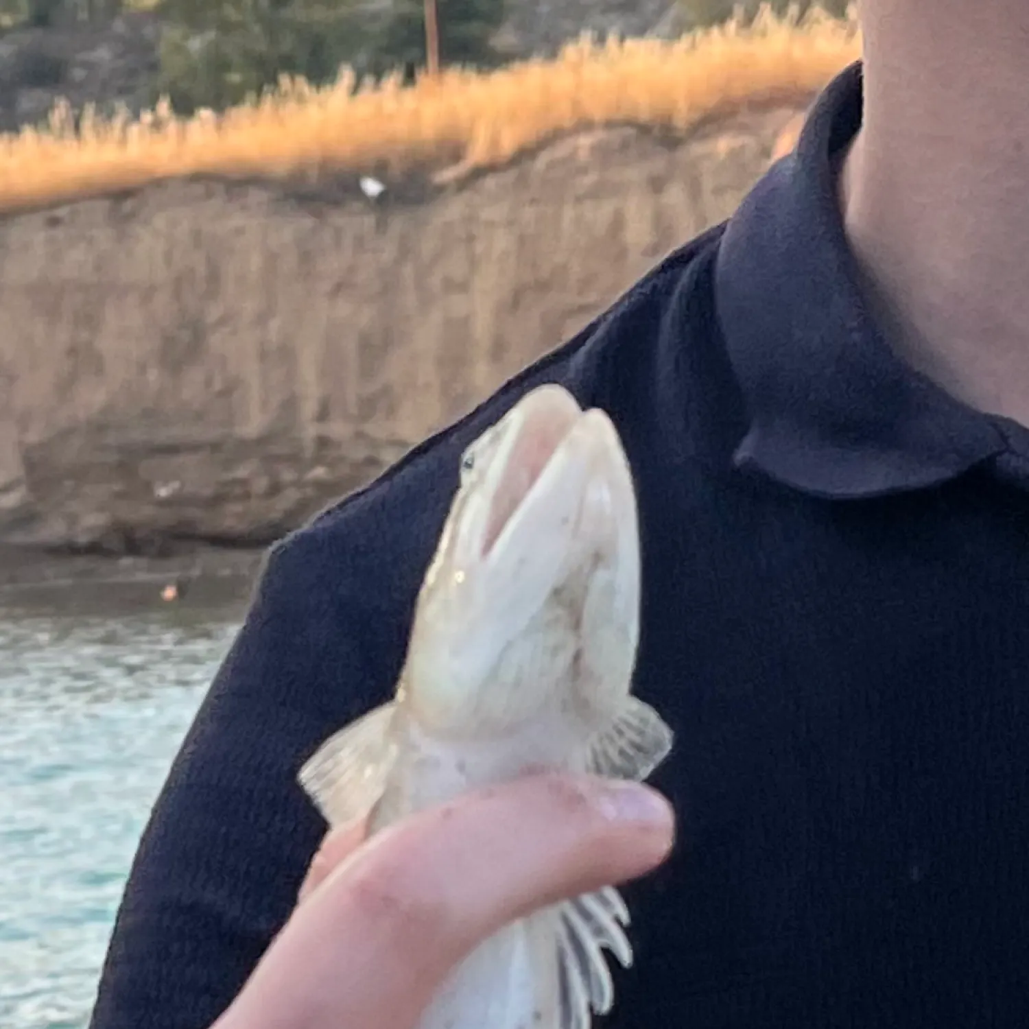 most liked catch image