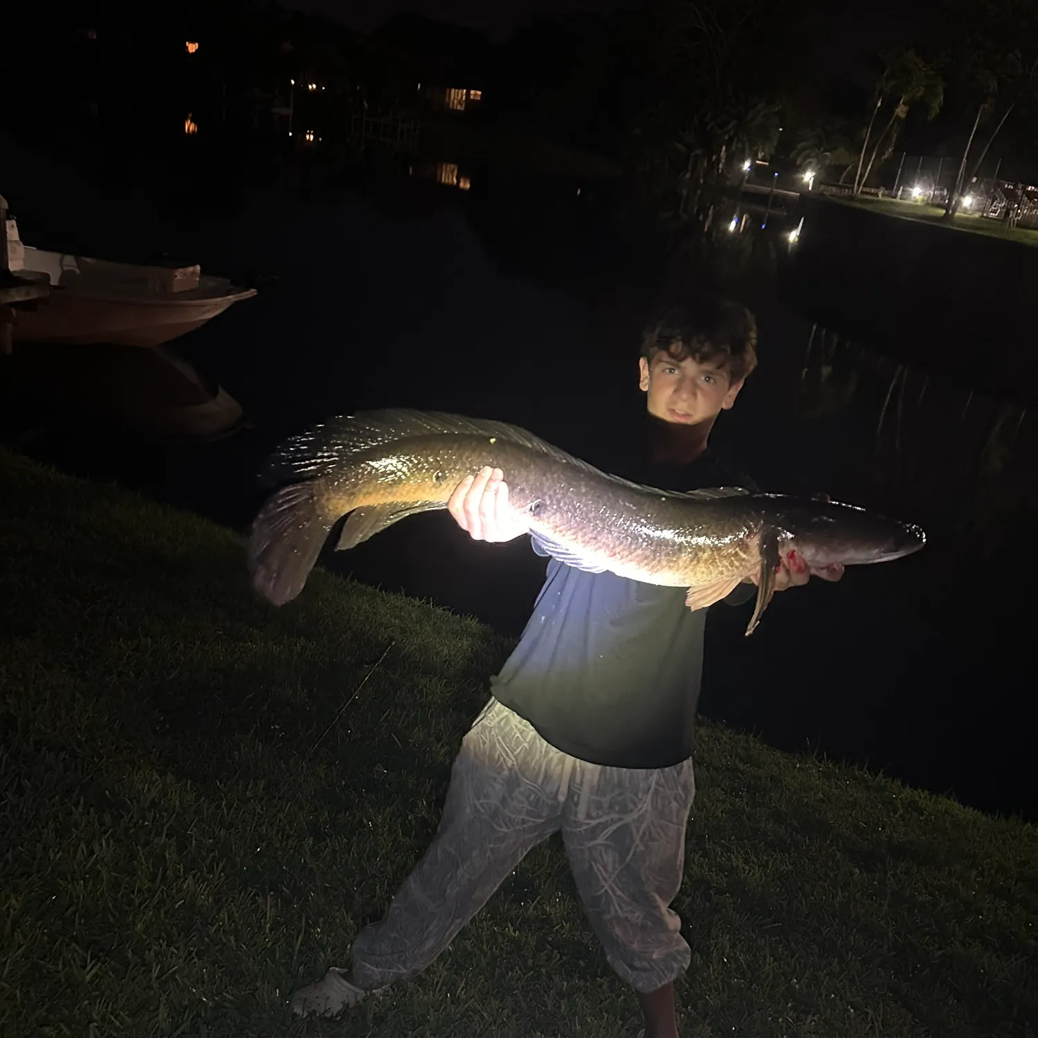 The most recent Bullseye snakehead catches on Fishbrain