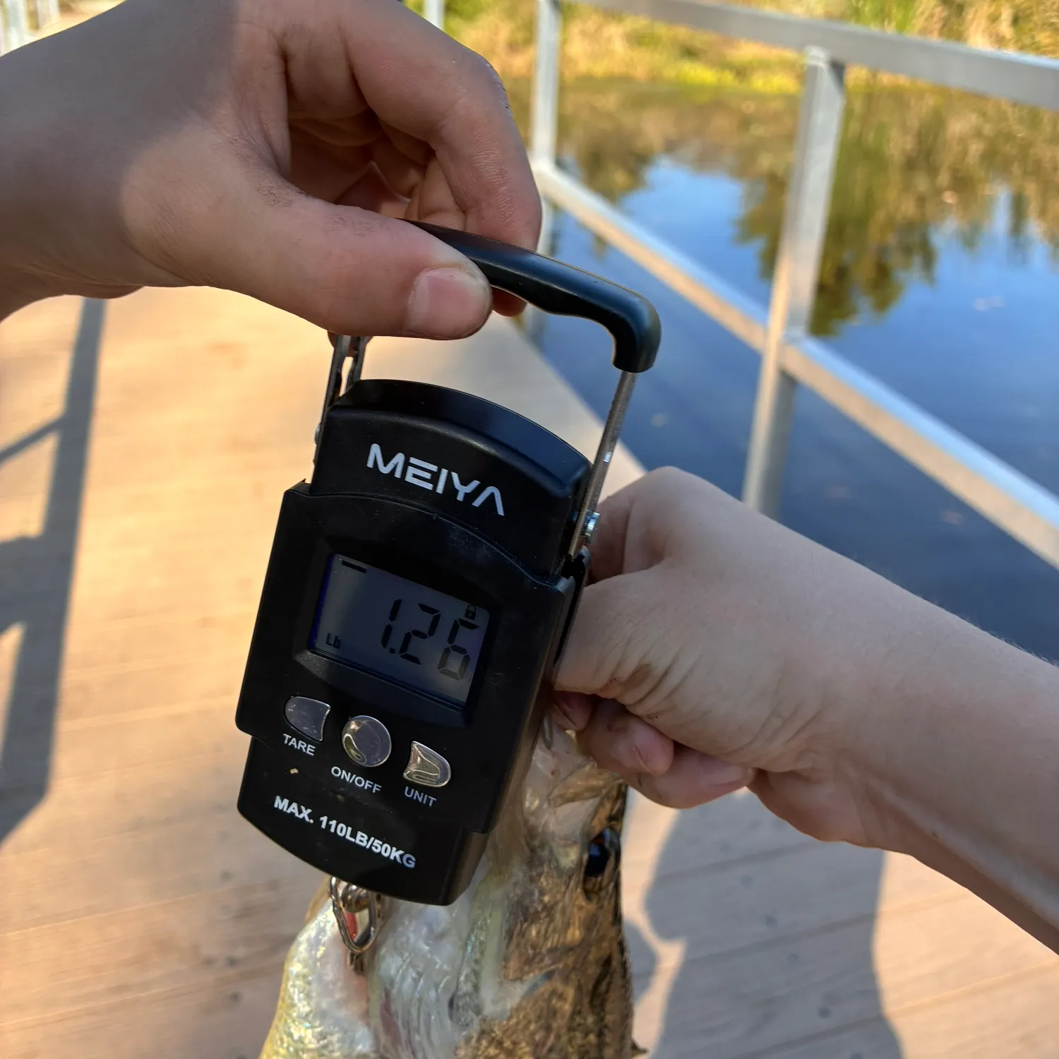 Black crappie caught on Fishbrain
