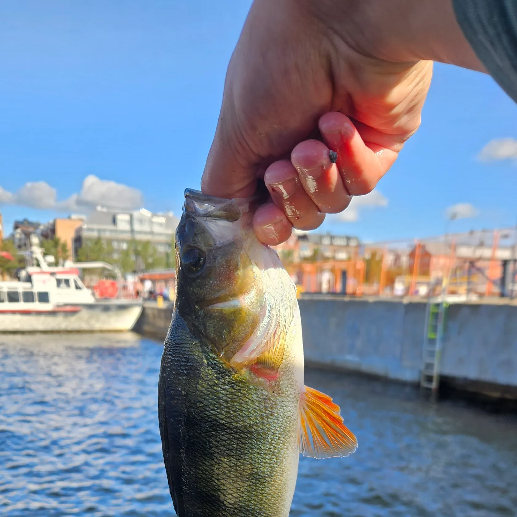 catch