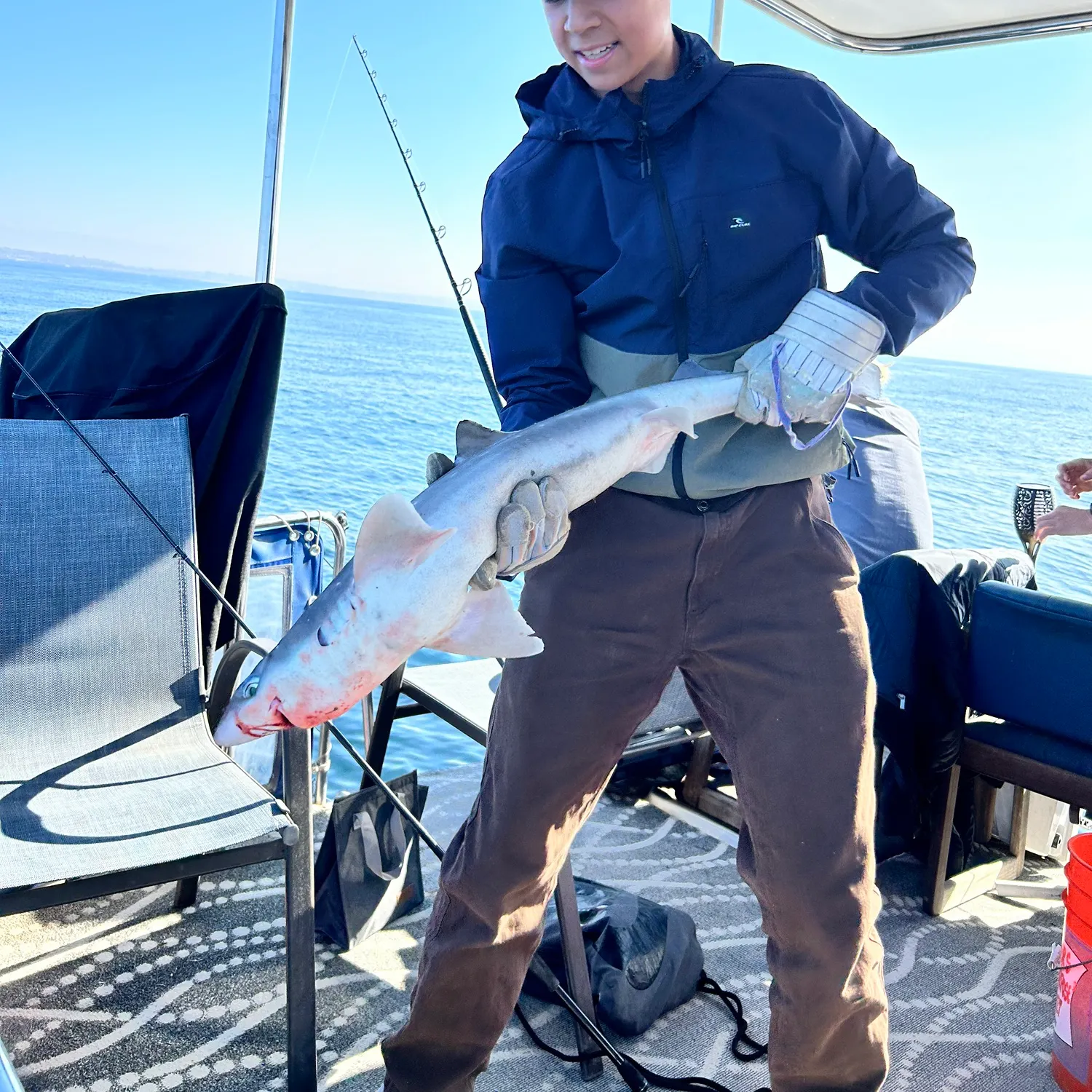 The most popular recent Pacific spiny dogfish catch on Fishbrain
