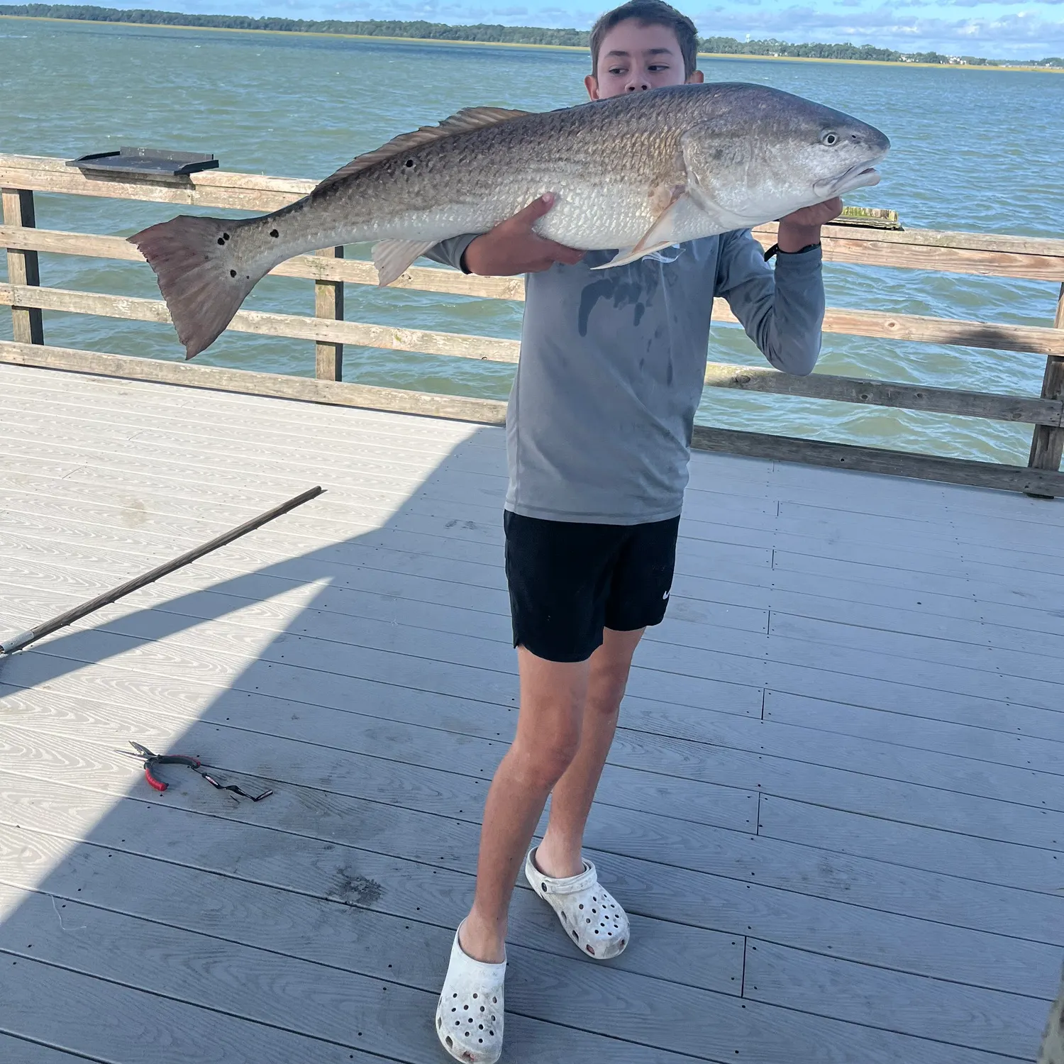 Red drum caught on Fishbrain