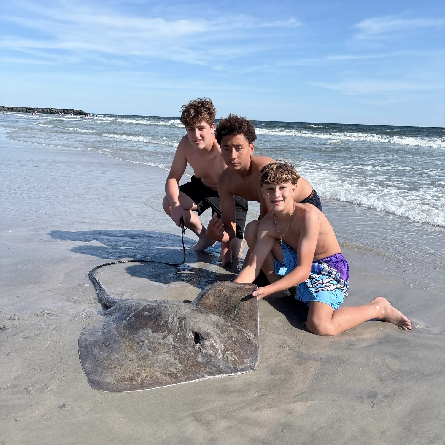The most recent Short-tail stingray catches on Fishbrain