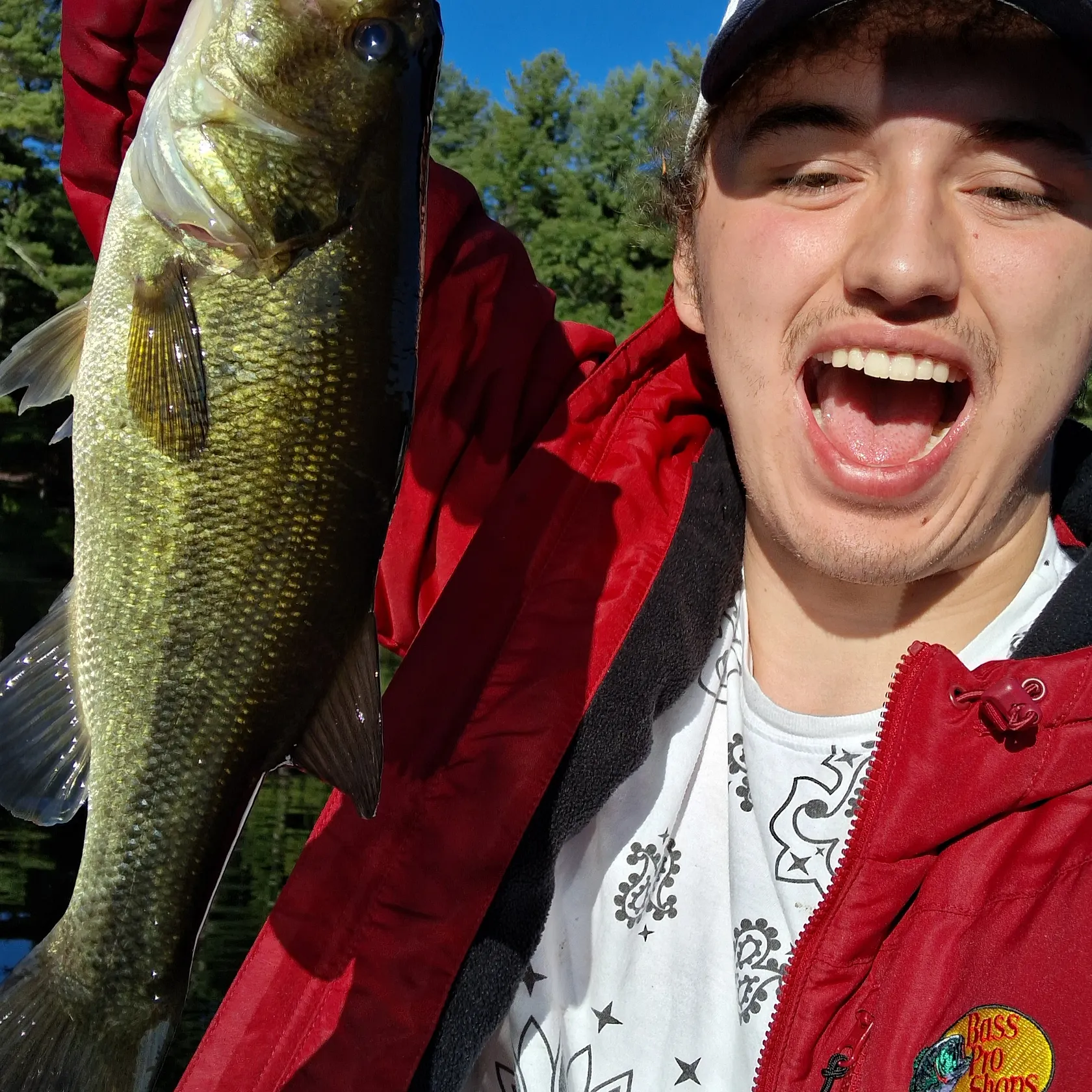Largemouth bass caught on Fishbrain