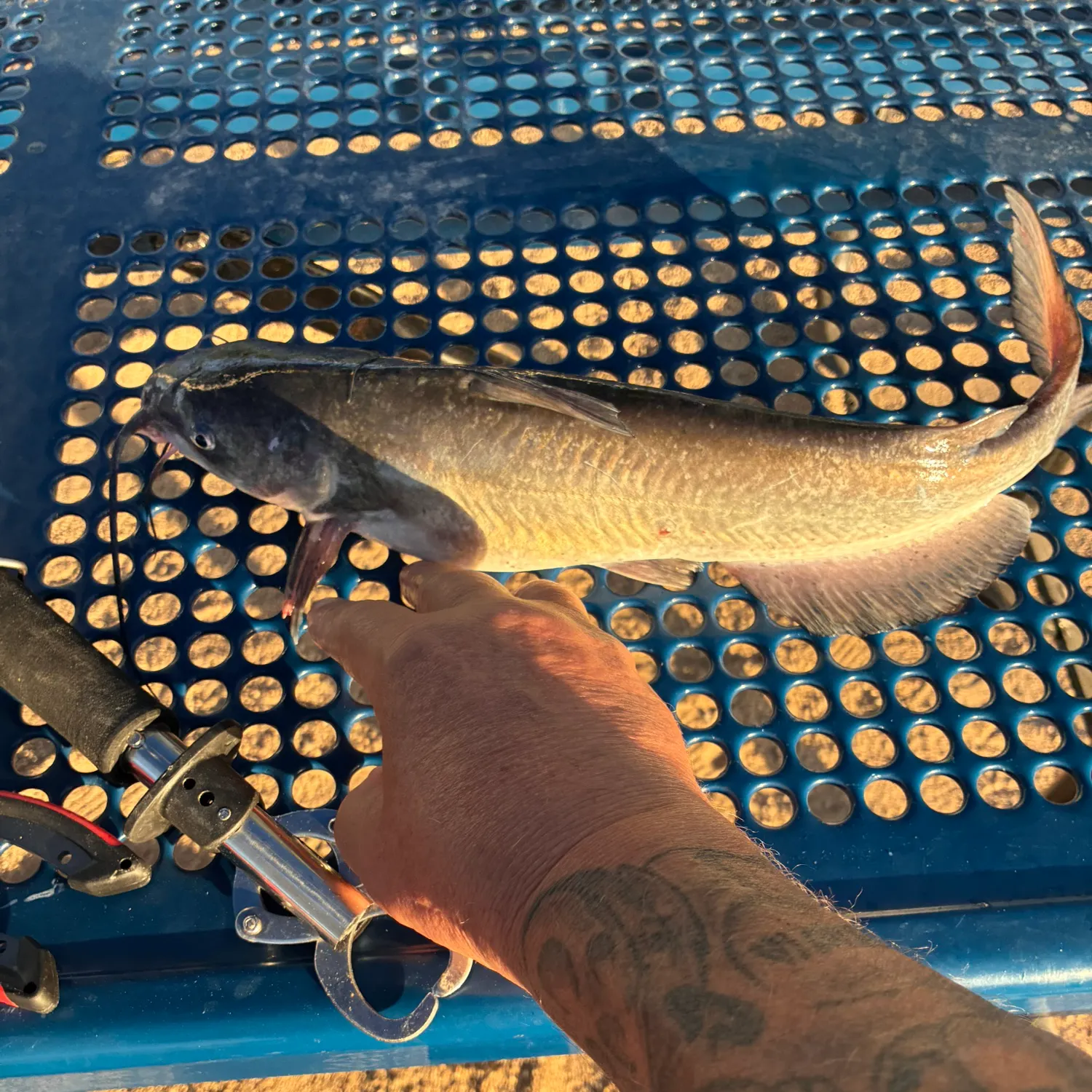 catch