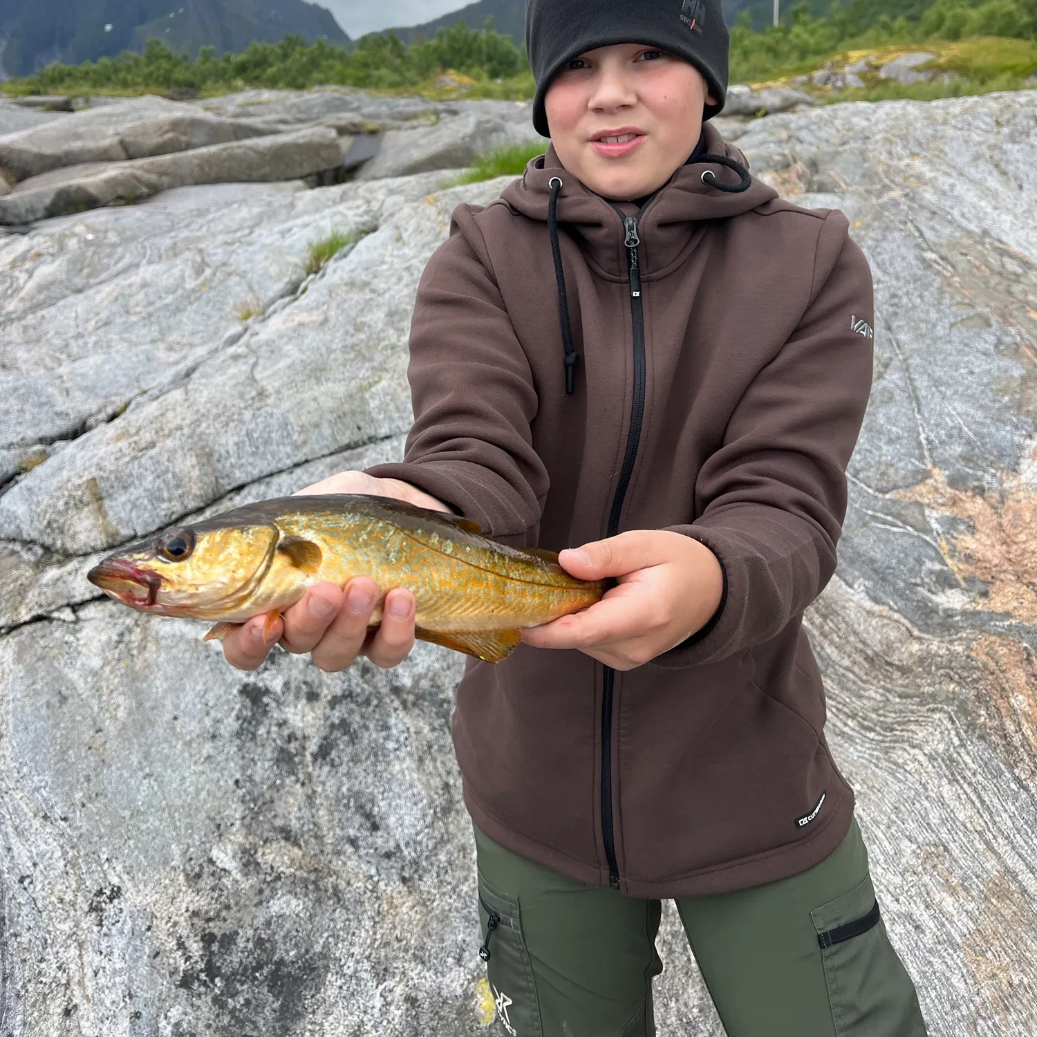 The most recent Pollack catches on Fishbrain