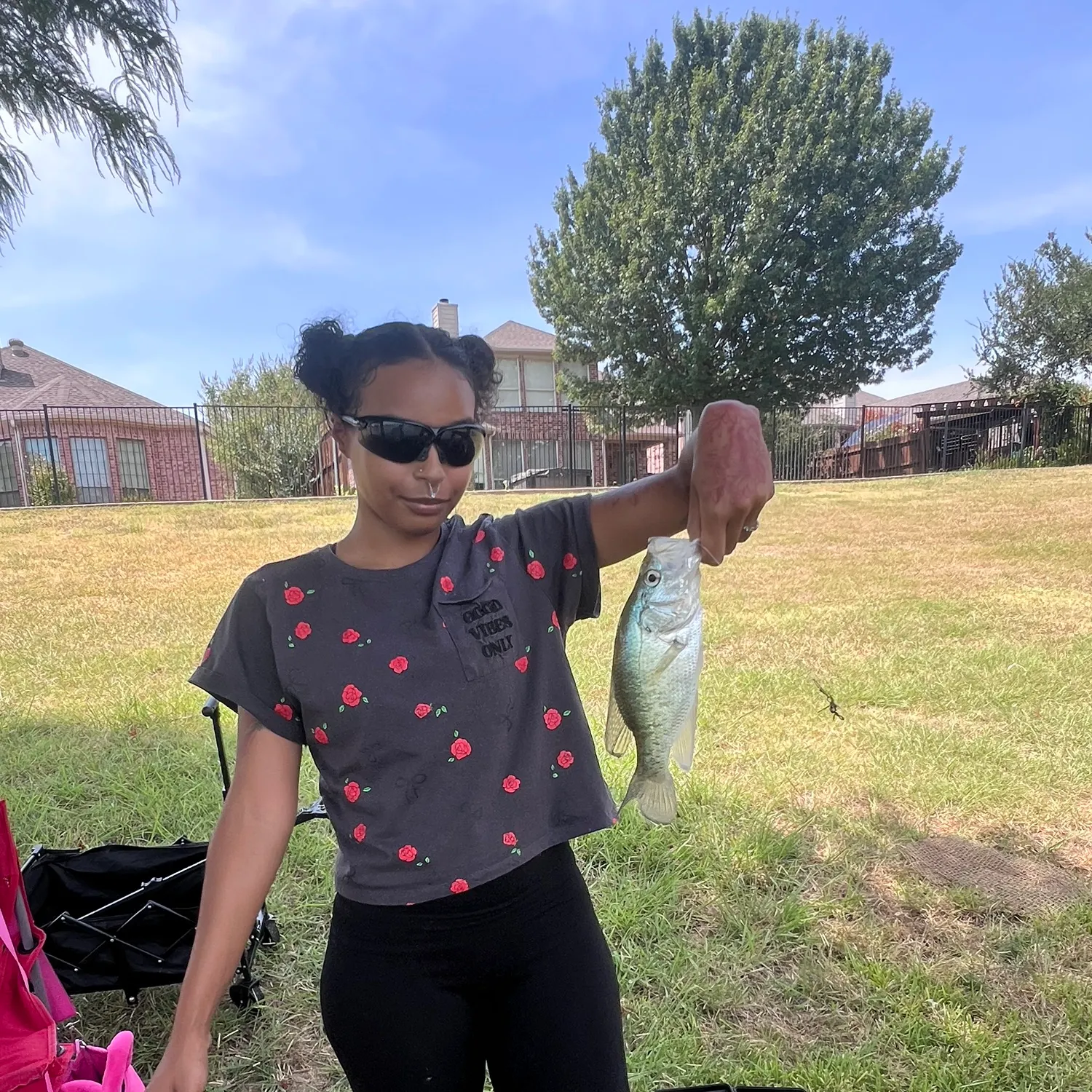 Fish caught on Fishbrain