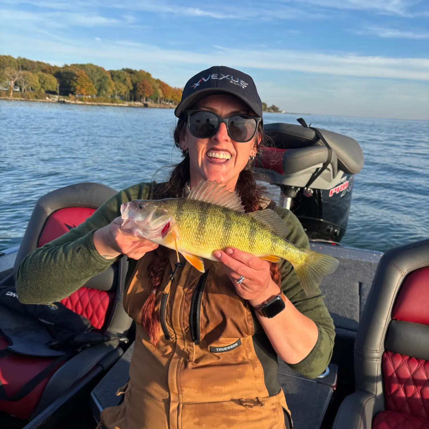 Yellow perch caught on Fishbrain