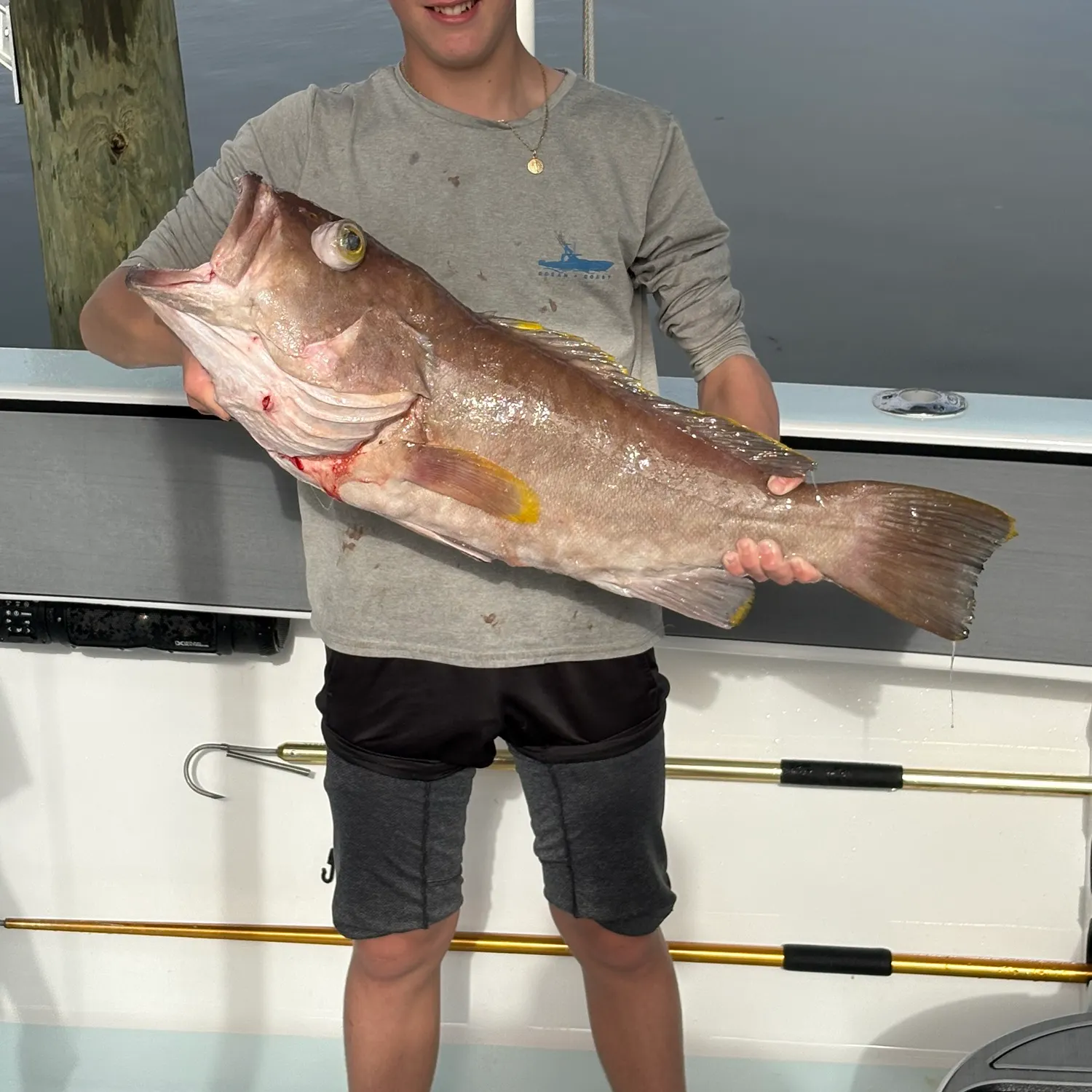 The most recent Yellowedge grouper catches on Fishbrain