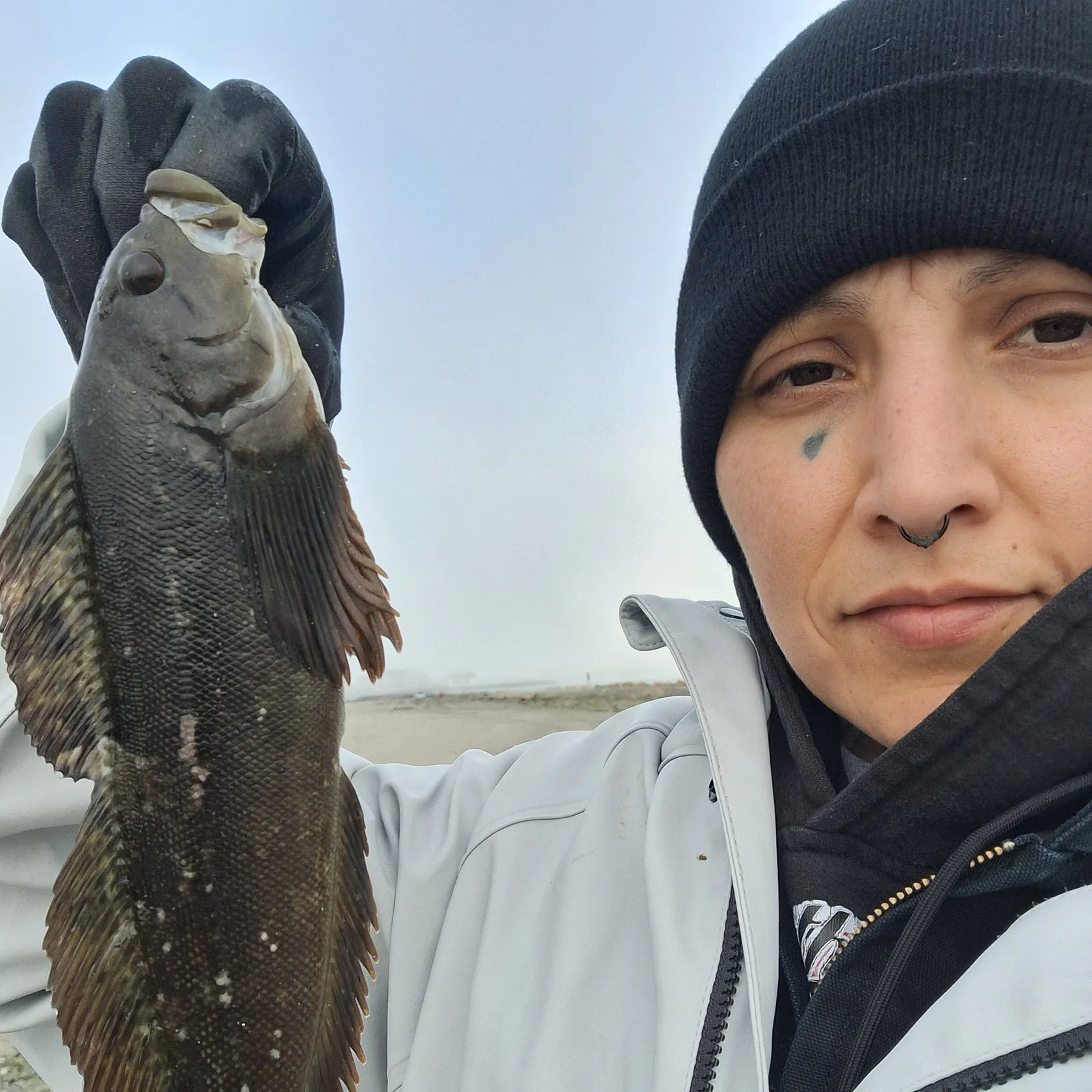 The most recent Kelp greenling catches on Fishbrain