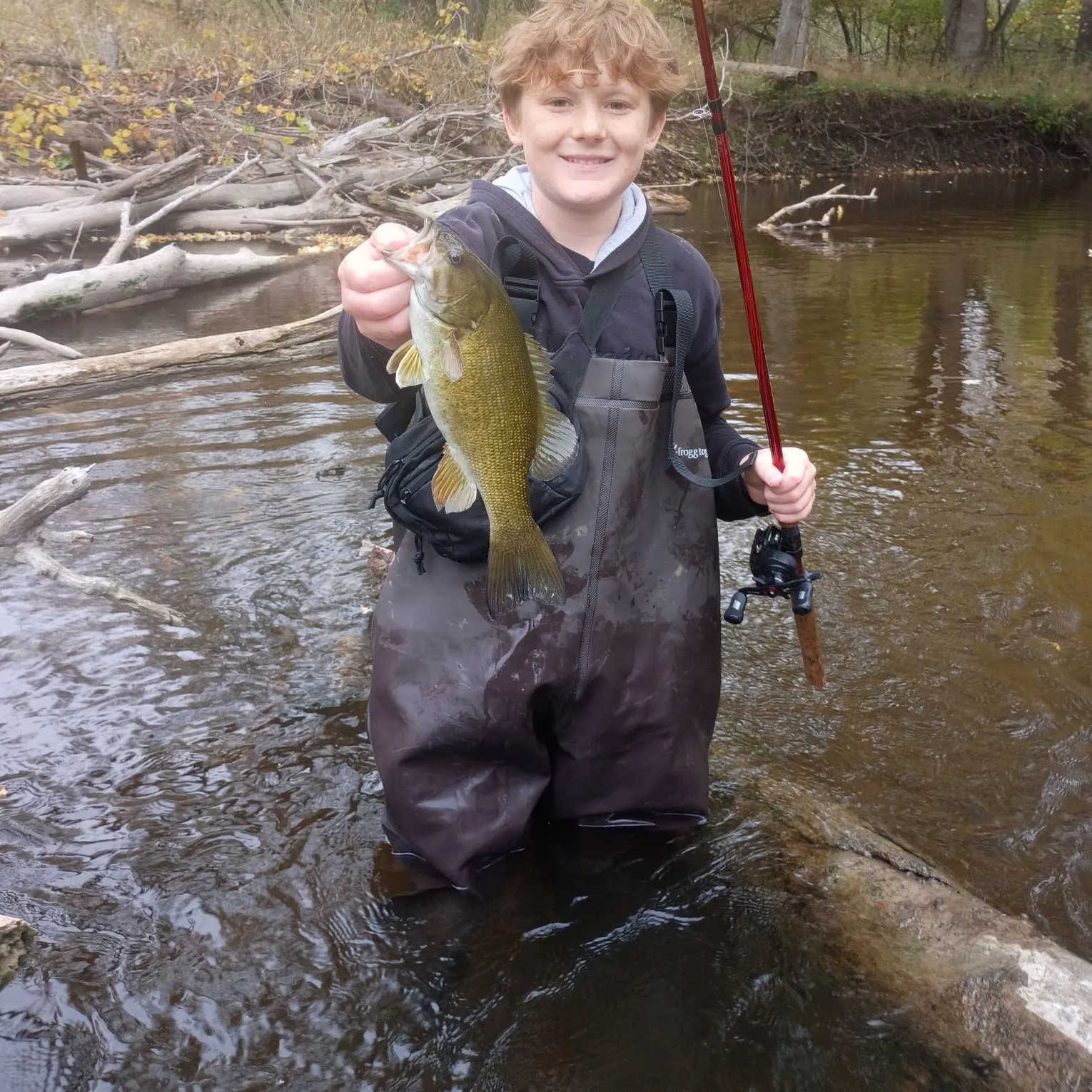 Smallmouth bass caught on Fishbrain